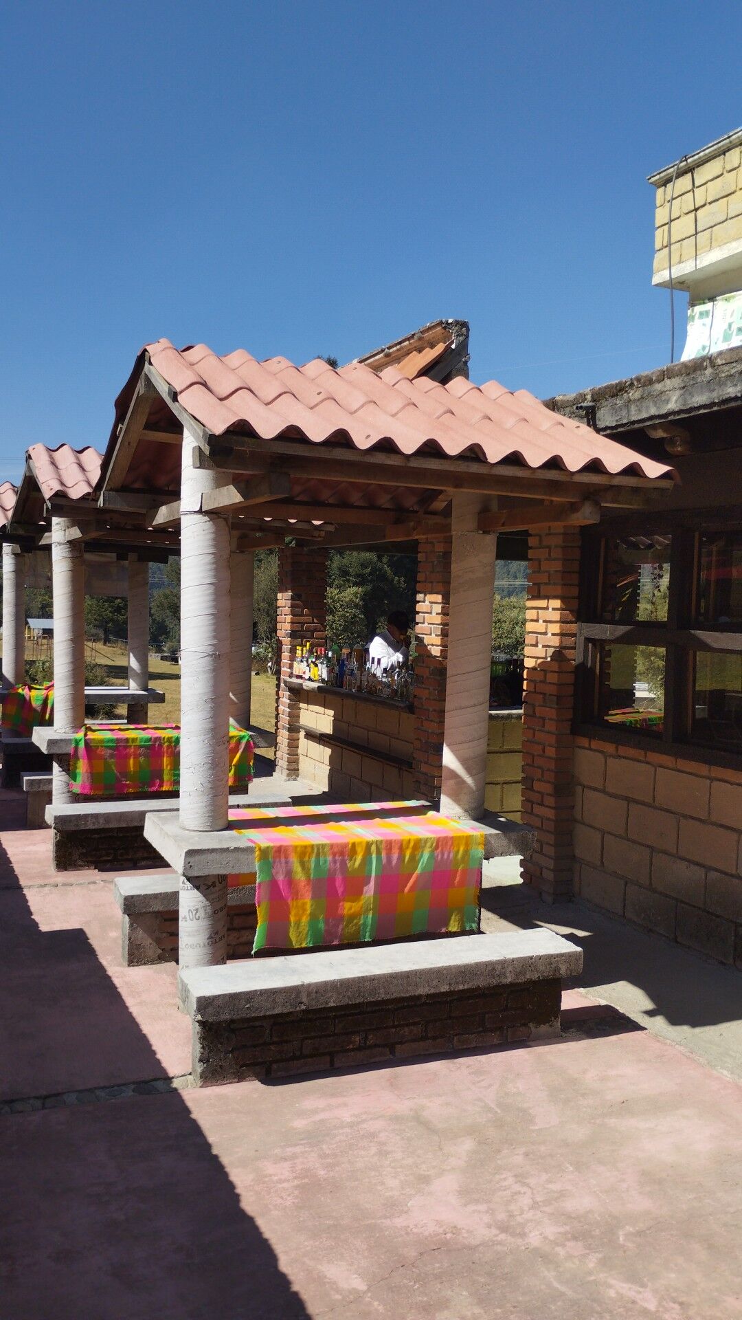 Magueyal image 8