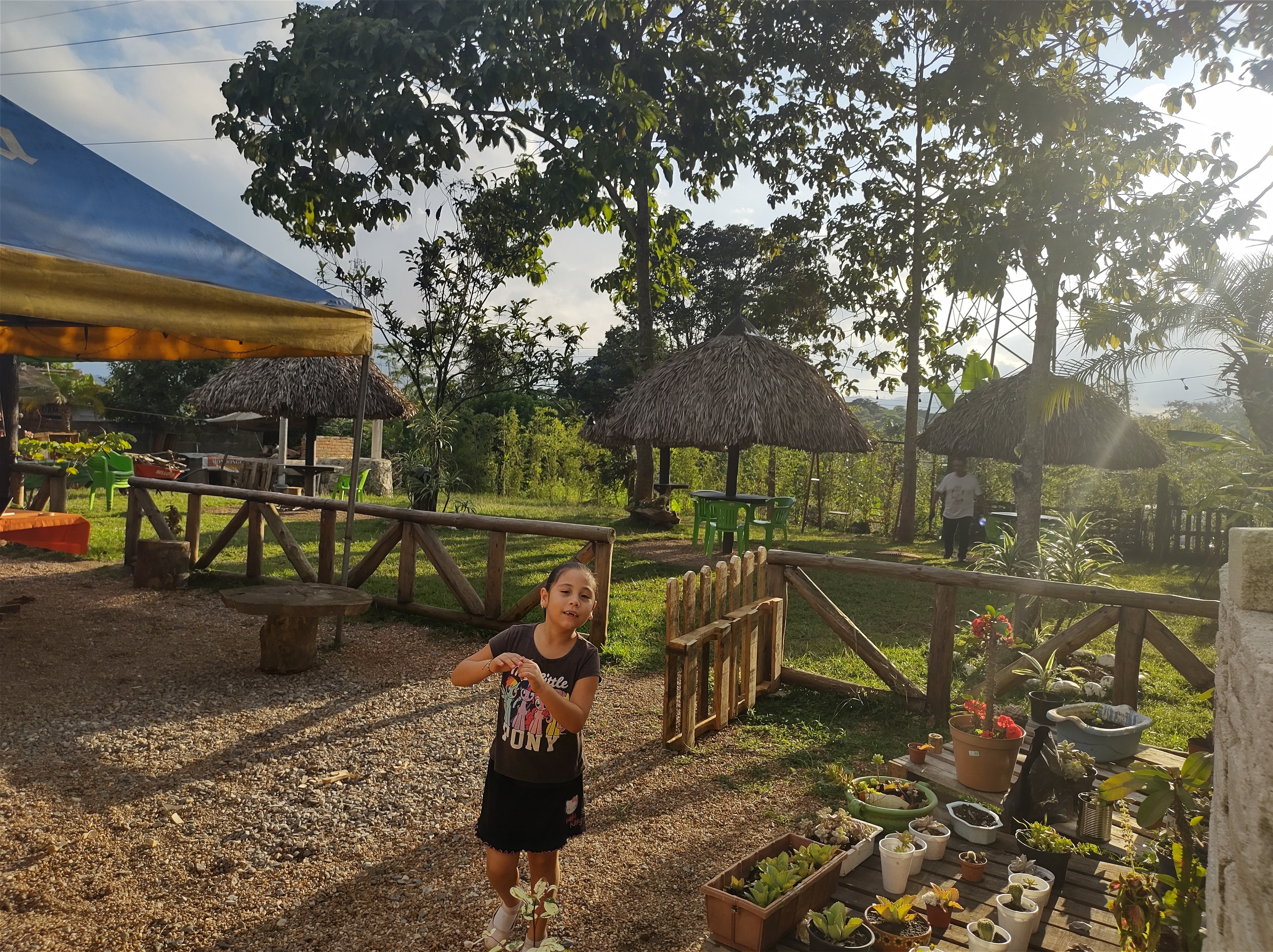 Restaurante Los Bambús image 3