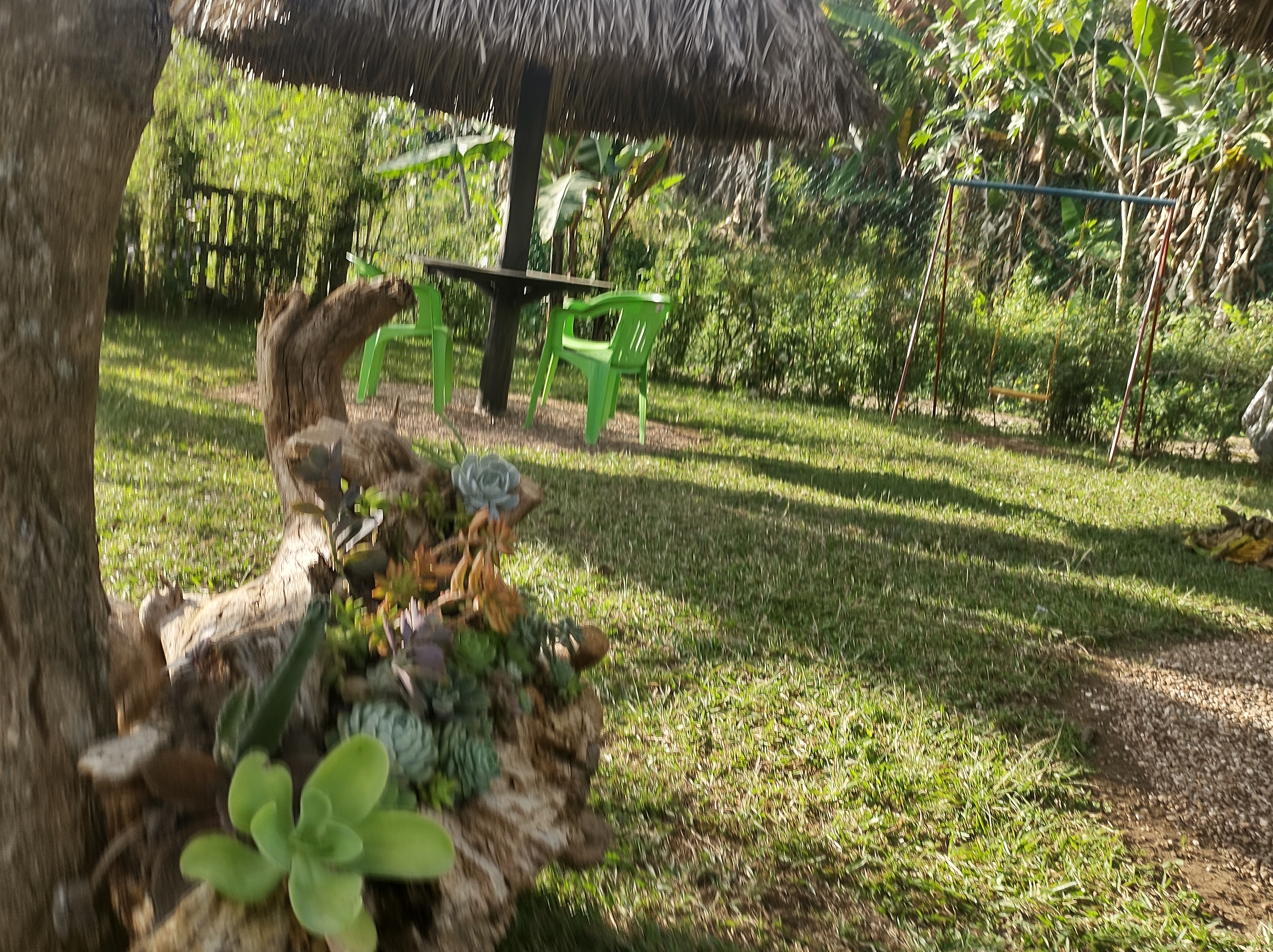 Restaurante Los Bambús image 9