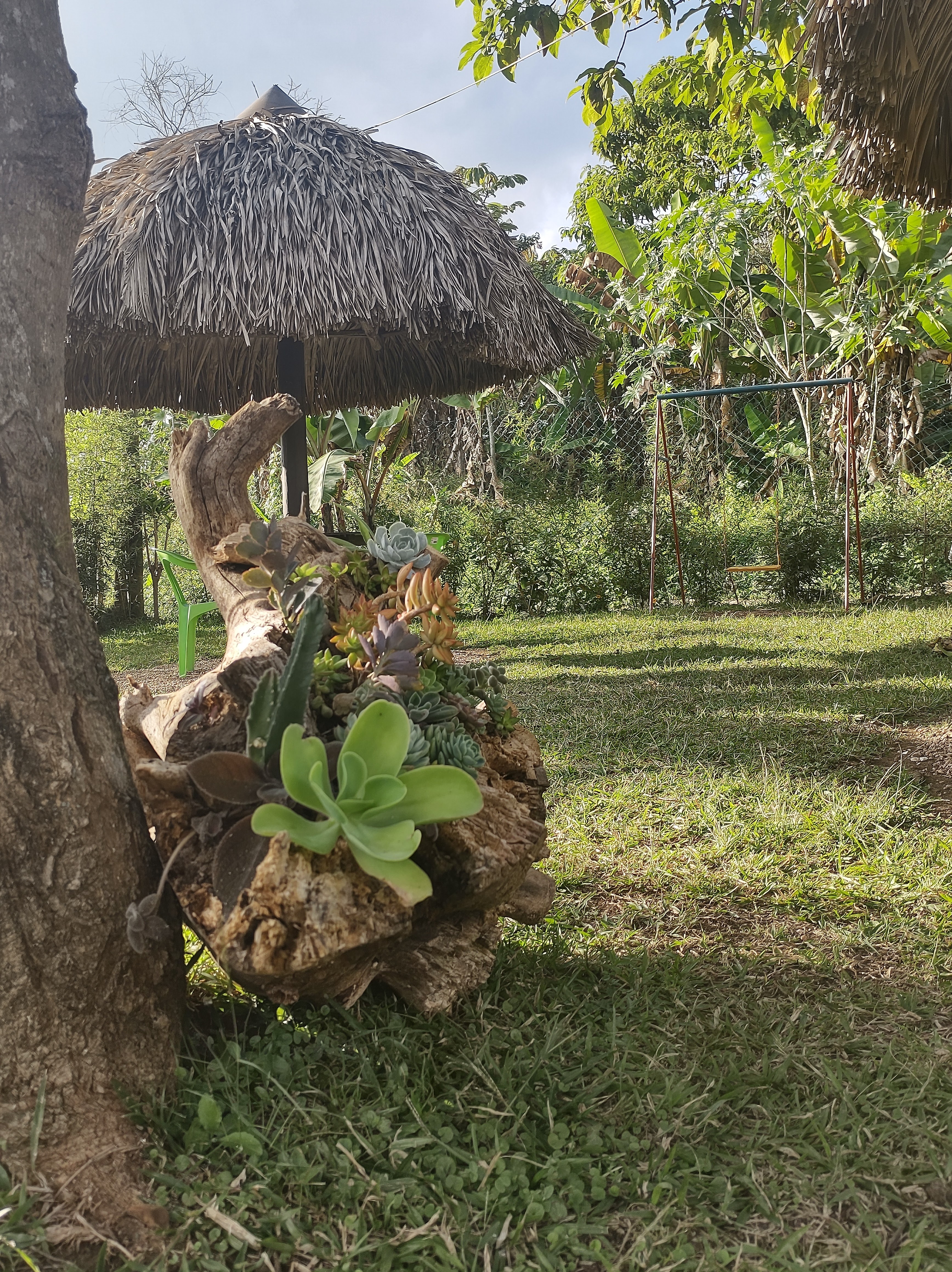 Restaurante Los Bambús image 10