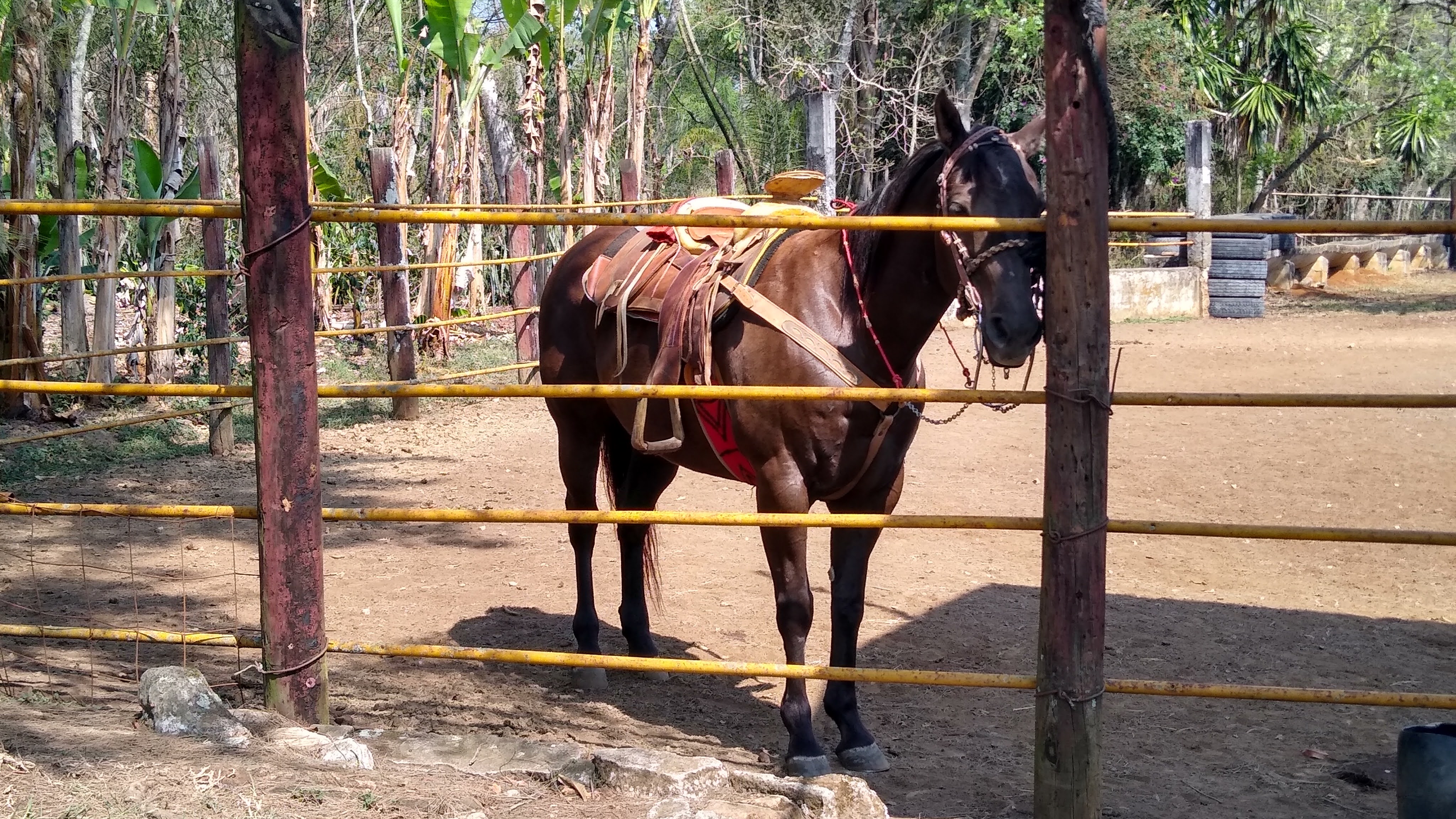 Rancho Cesser image 9