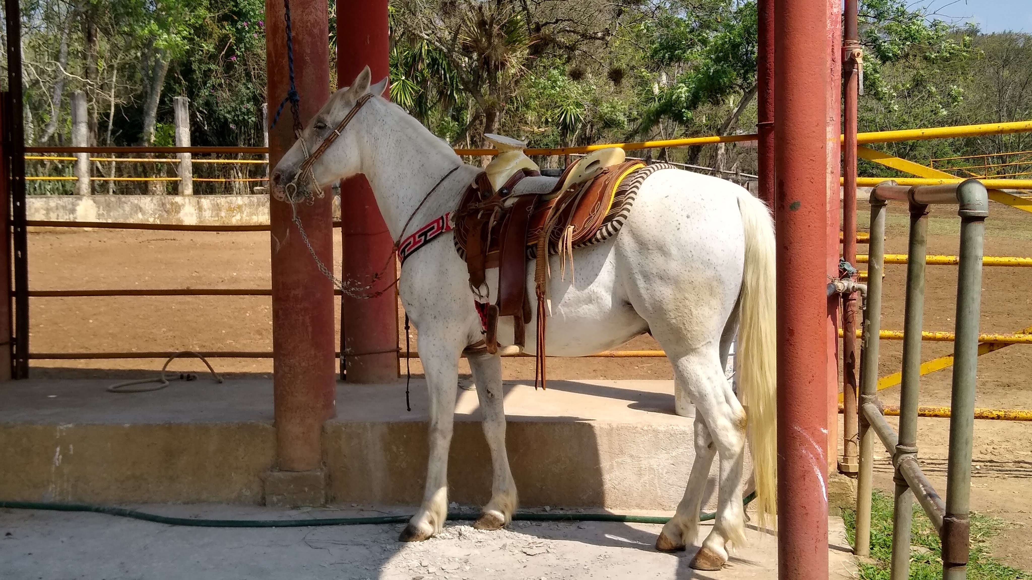 Rancho Cesser image 10