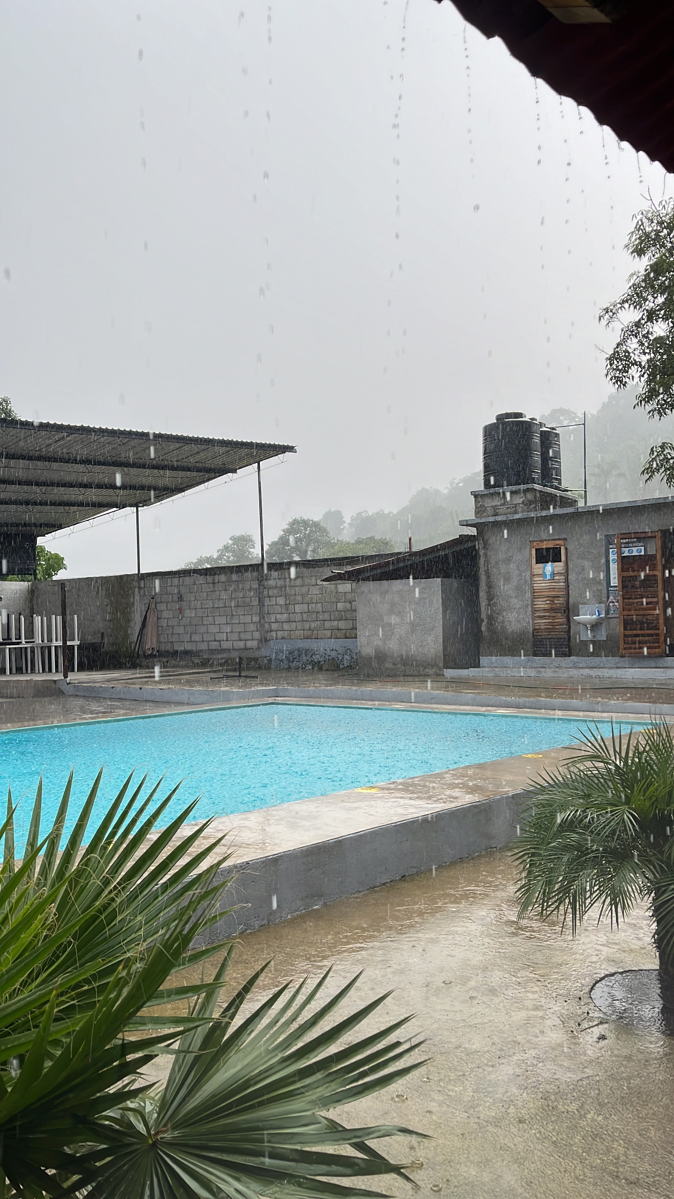 Restaurant “Reventon” image 7