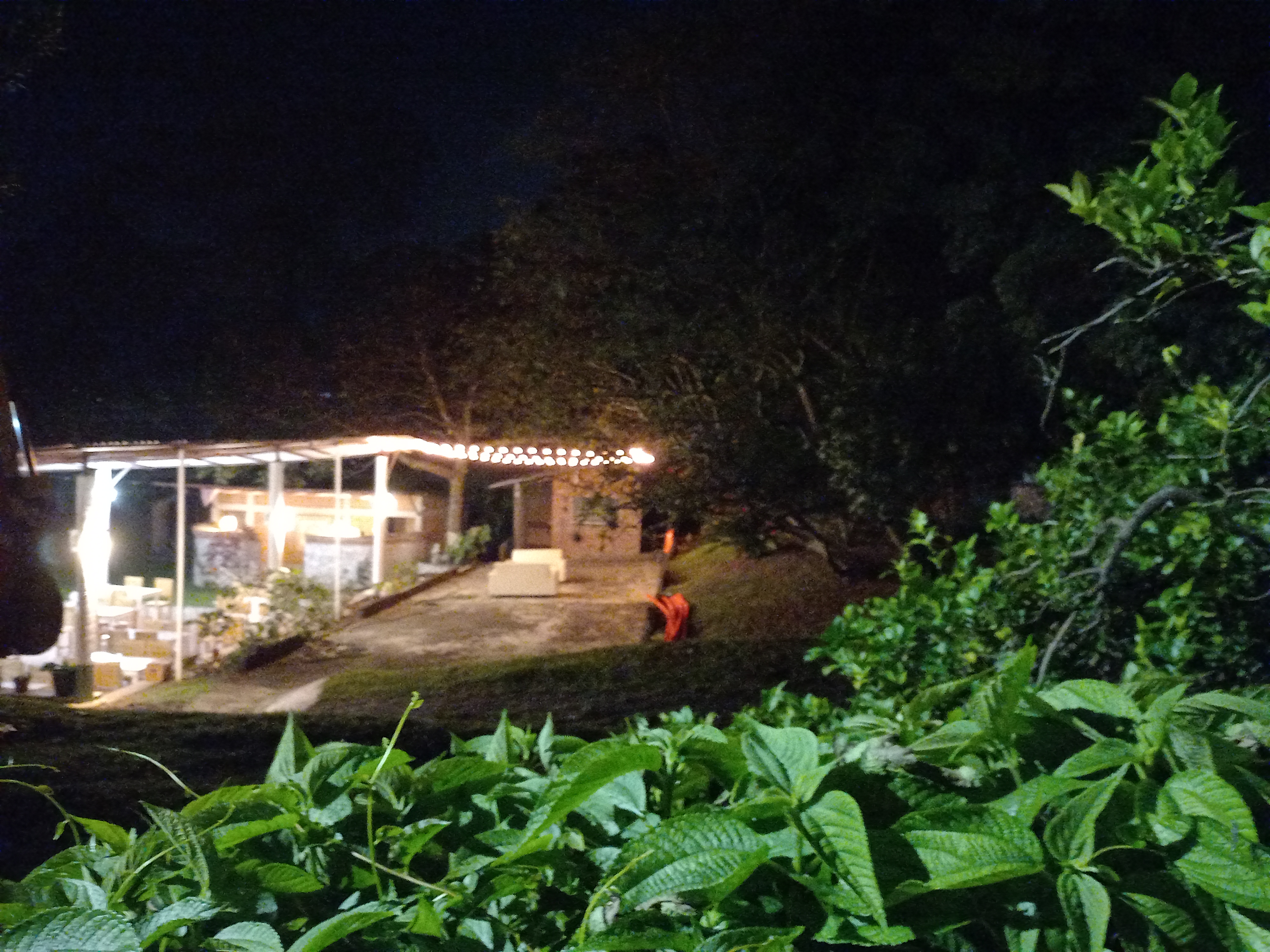 Restaurante y Bar "Deliwings" image 3