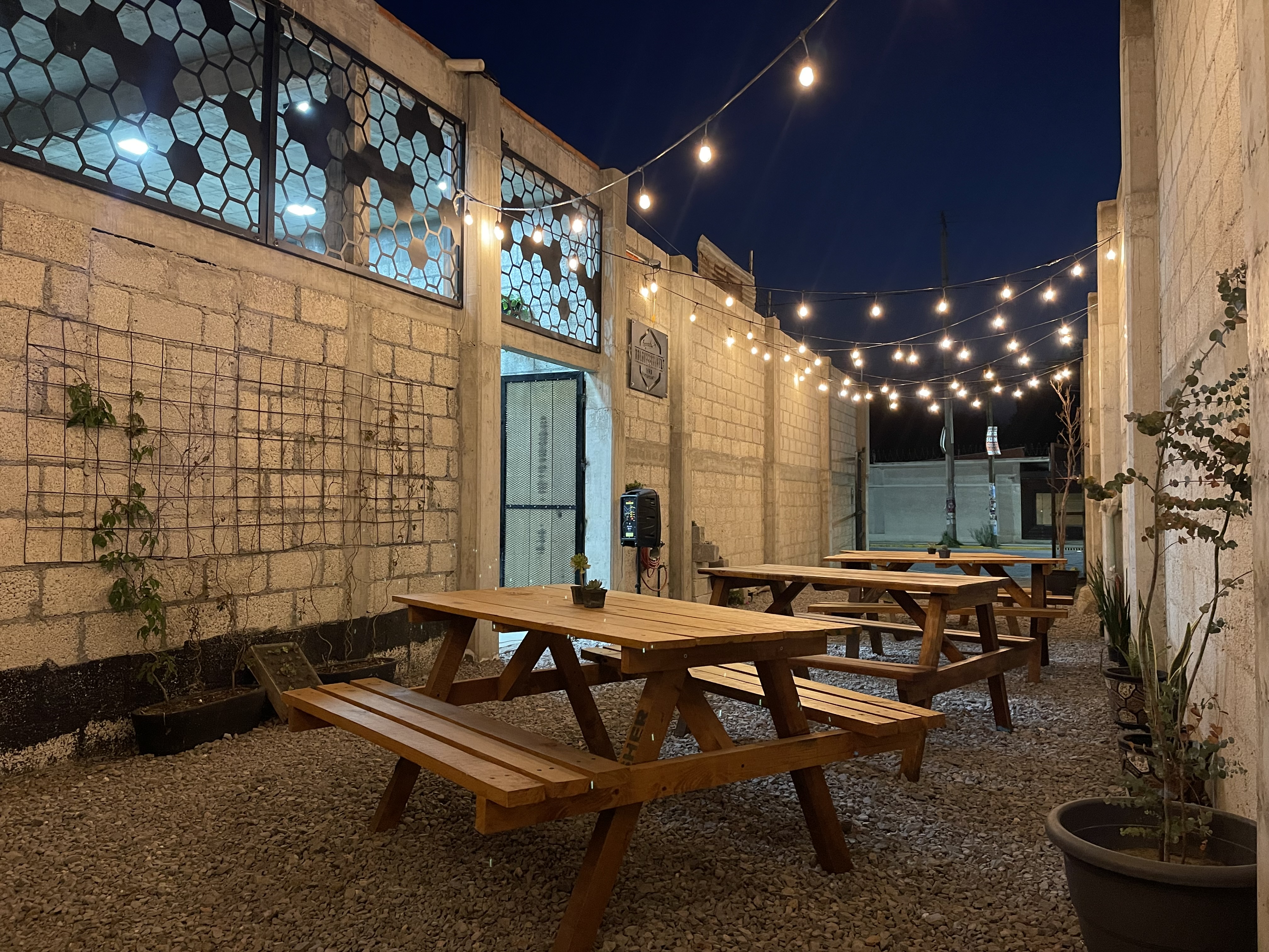 Legendario Xoloitzcuintle image 10