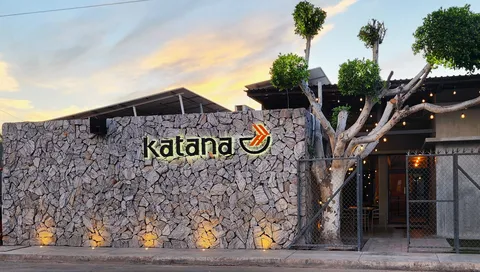 Katana image 1