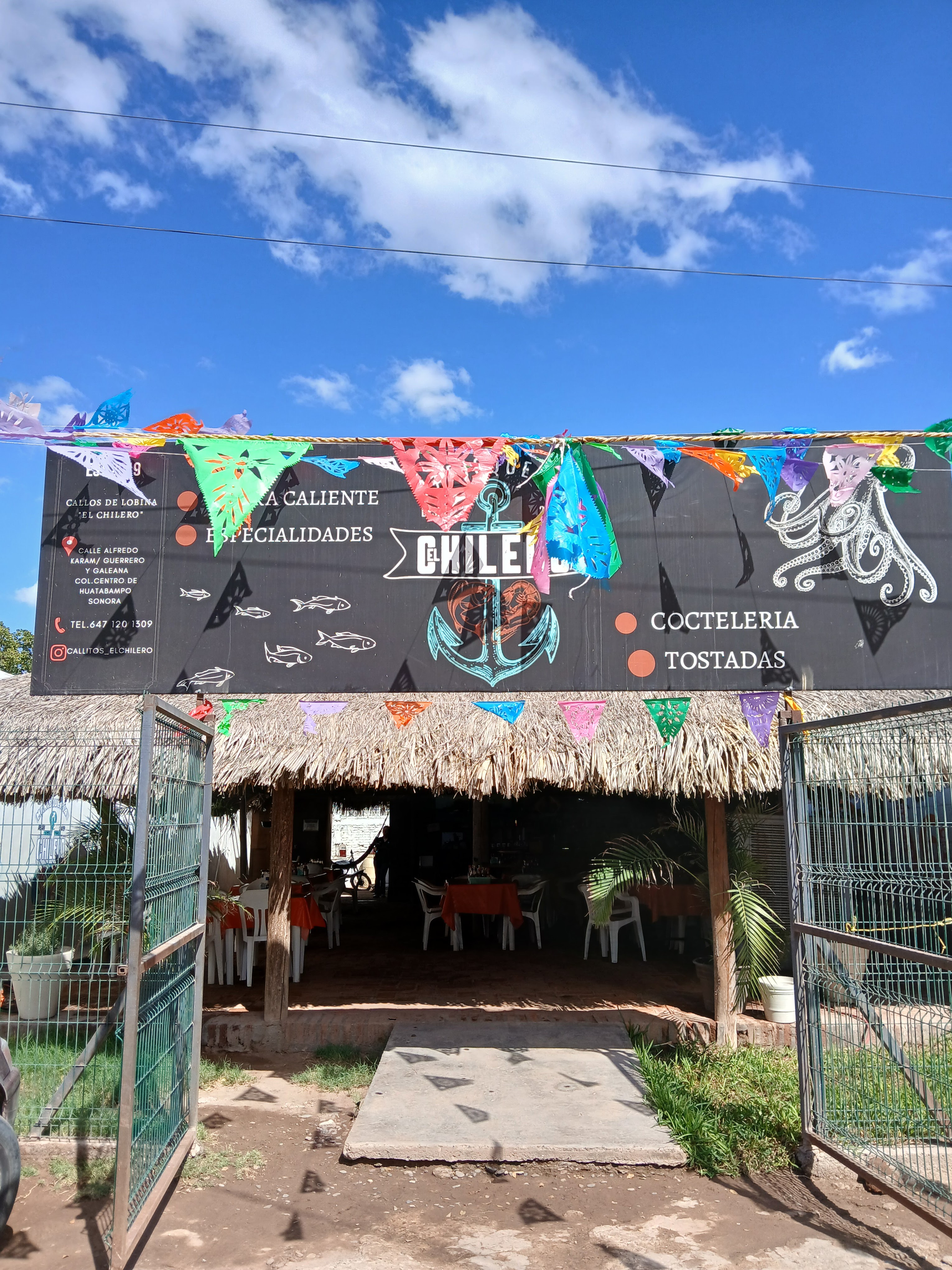 Callos de lobina "el Chilero" image 1