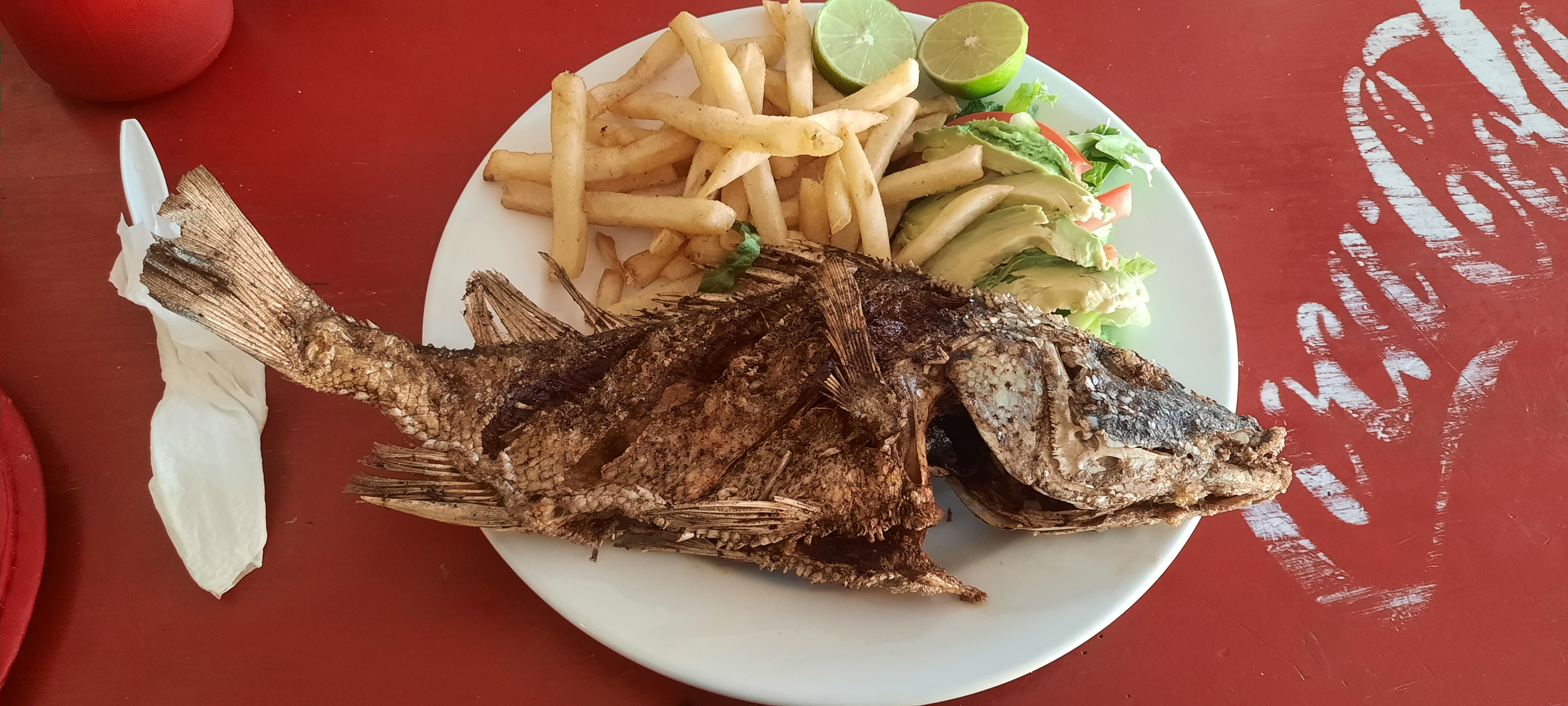 Callos de lobina "el Chilero" image 6