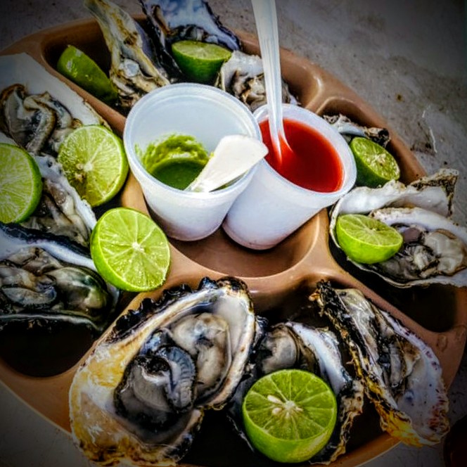 Ostrería Gotró image 1