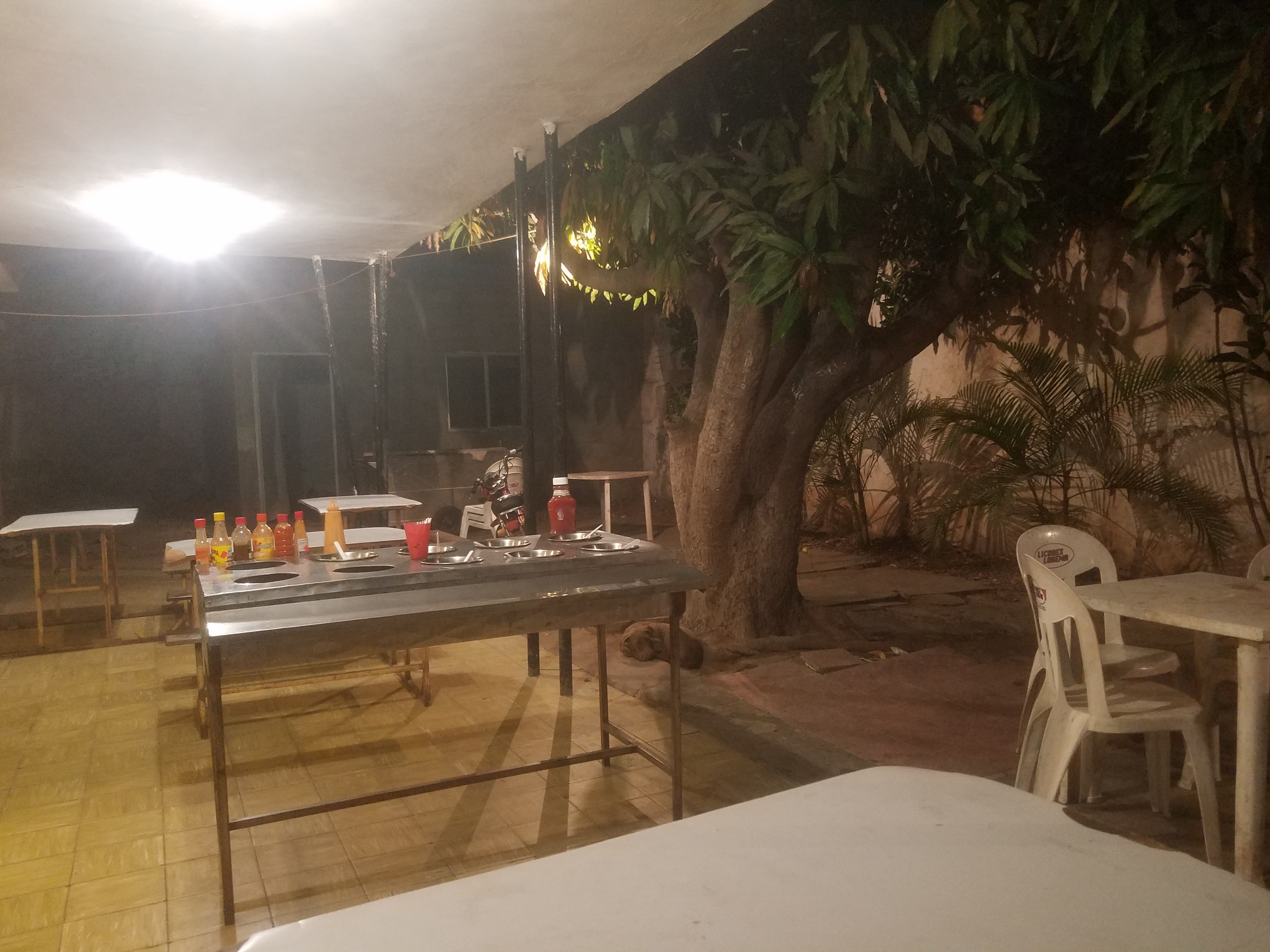 Dogos De Carne image 5