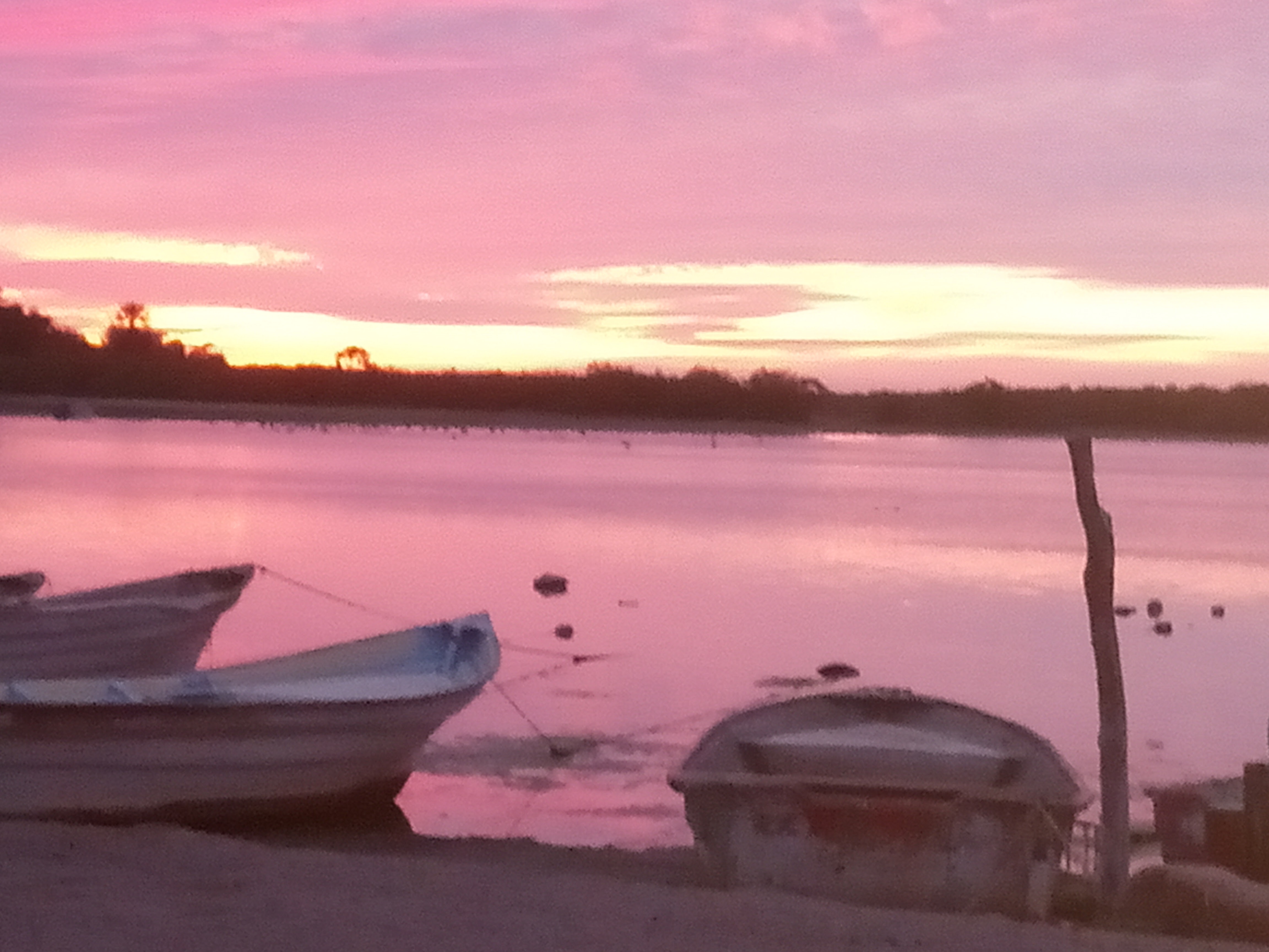 Taquería tacos de corazón con Beto chino image 4