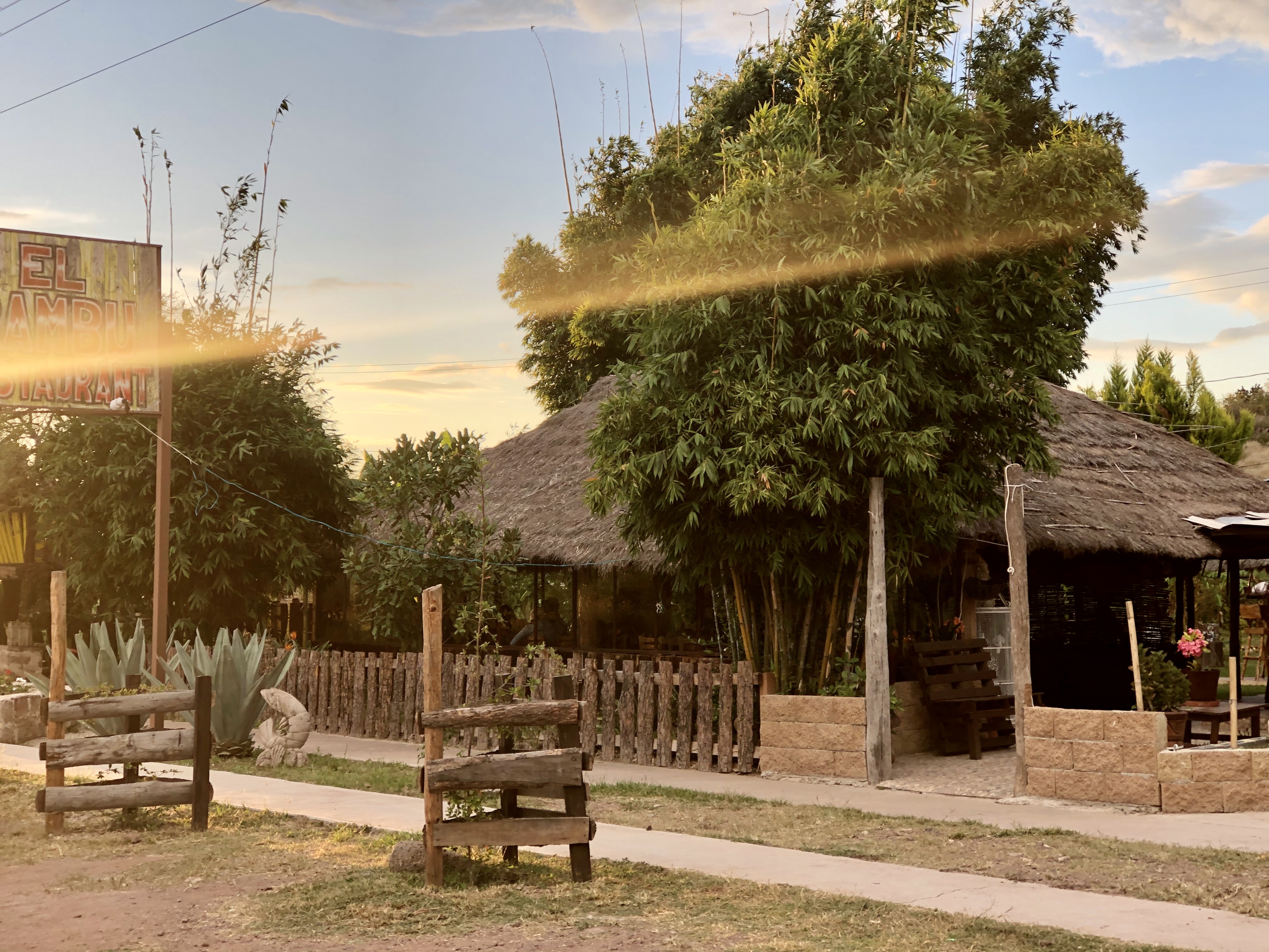 Palapa el BAMBÚ Huejuquilla image 3