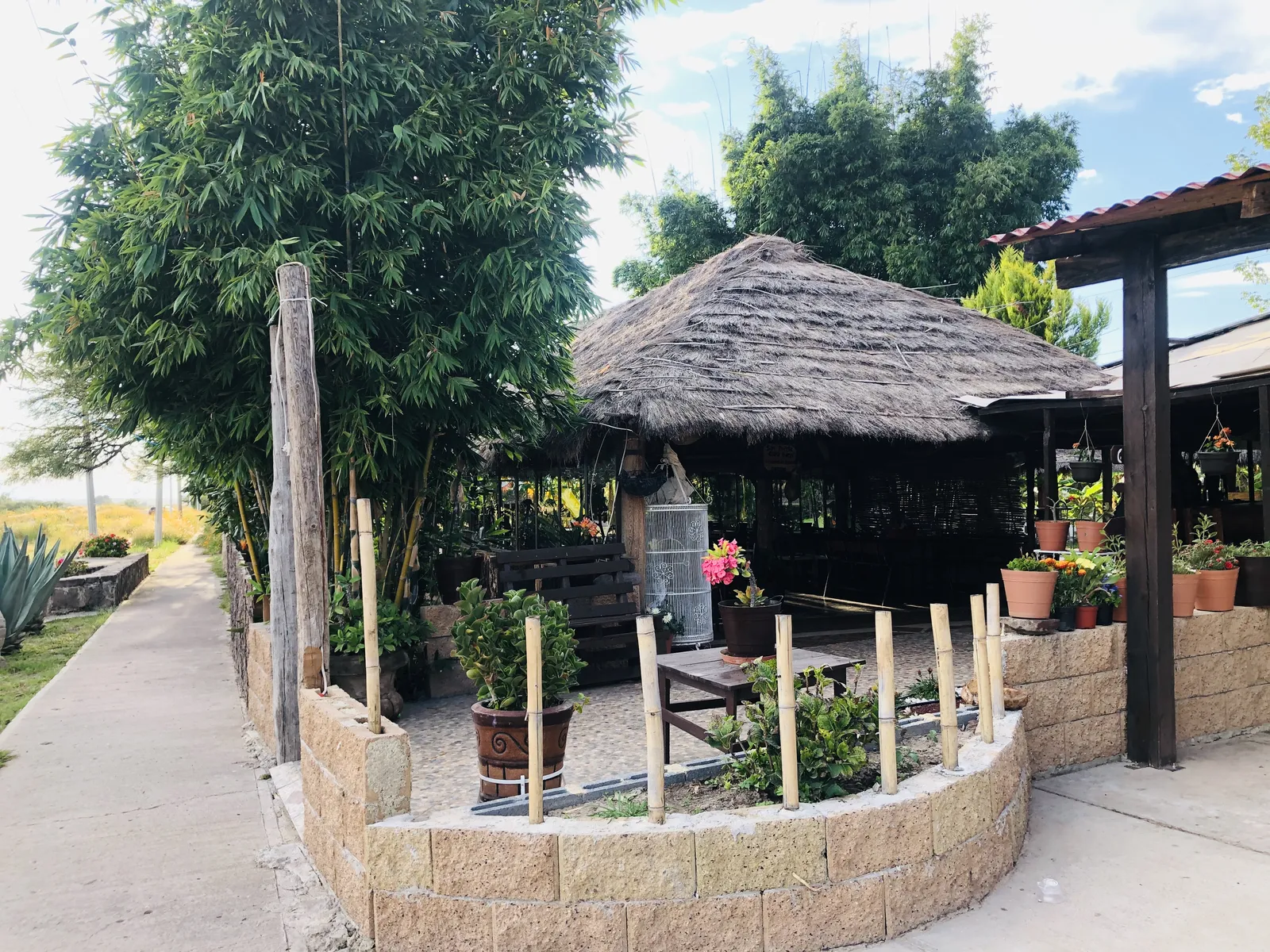 Palapa el BAMBÚ Huejuquilla image 4