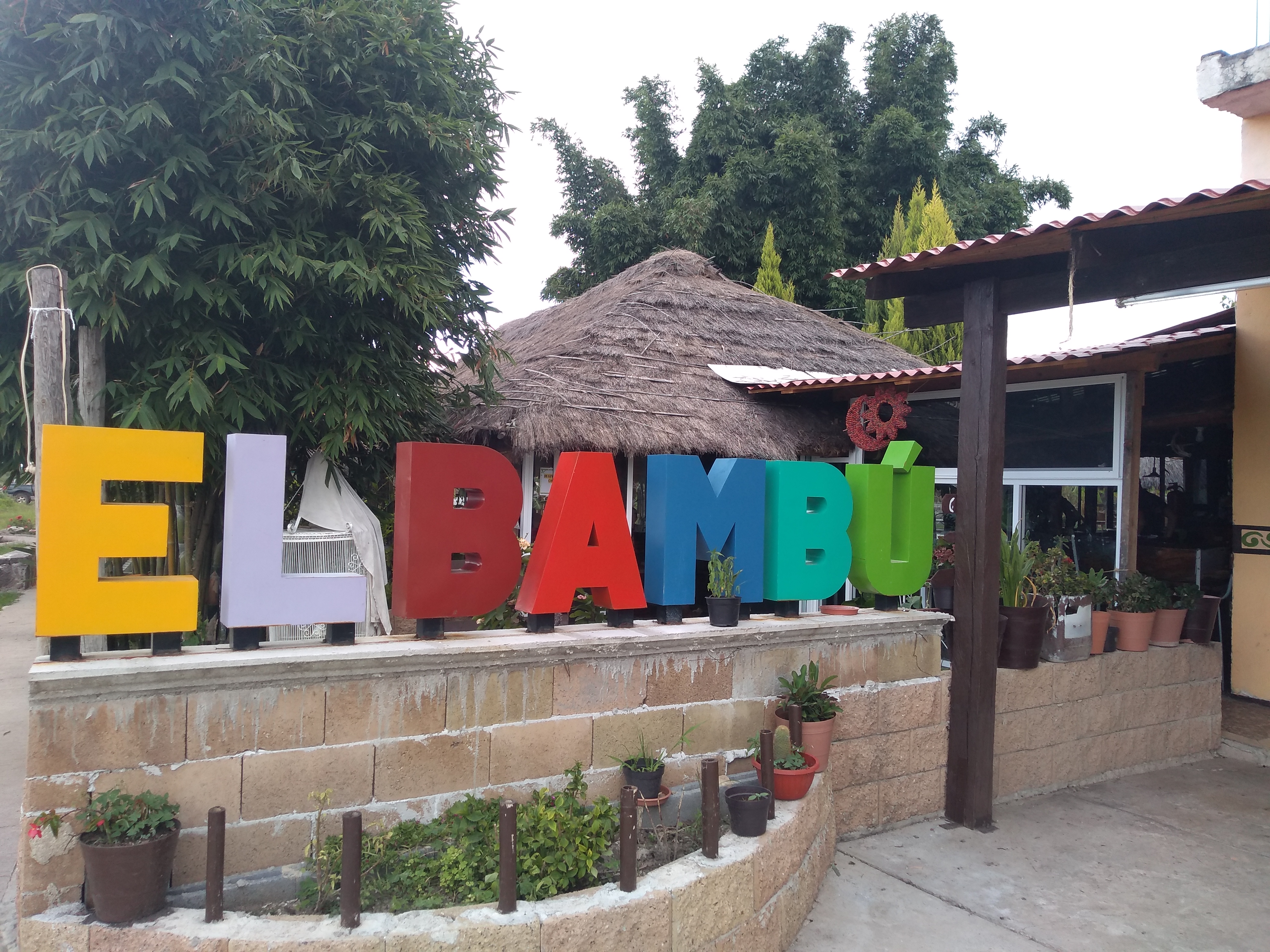 Palapa el BAMBÚ Huejuquilla image 6