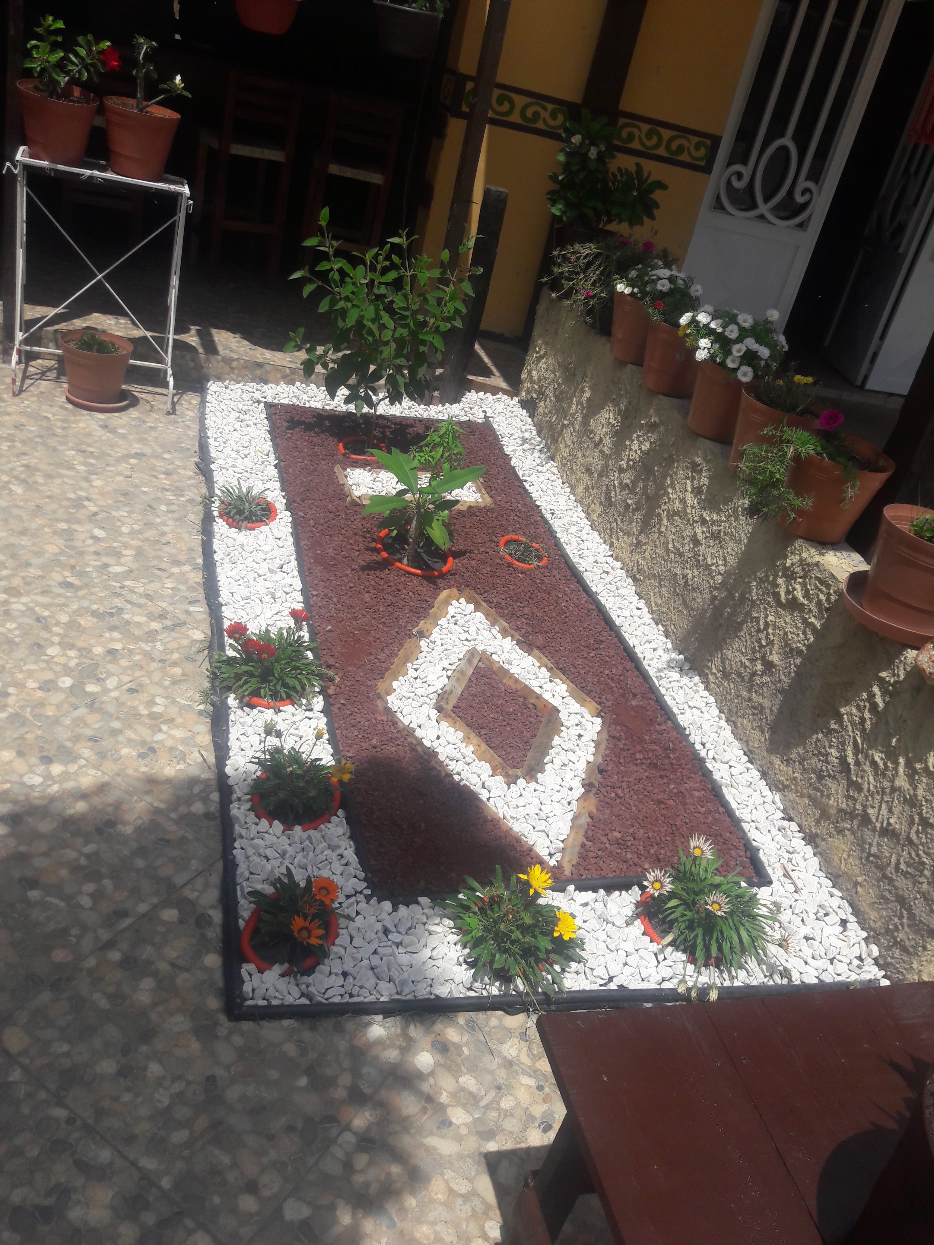 Palapa el BAMBÚ Huejuquilla image 10