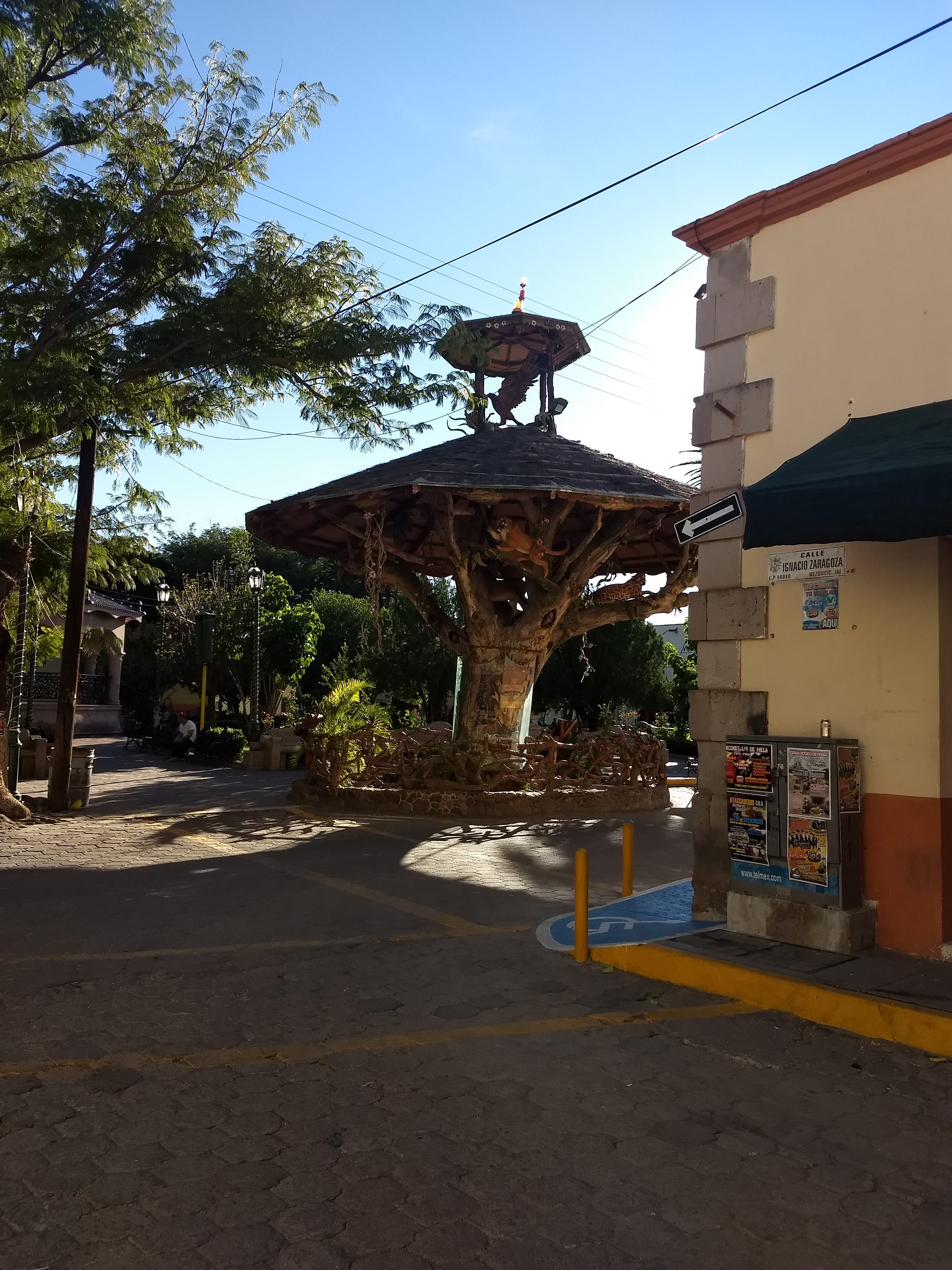 MARISCOS GARCIA image 8