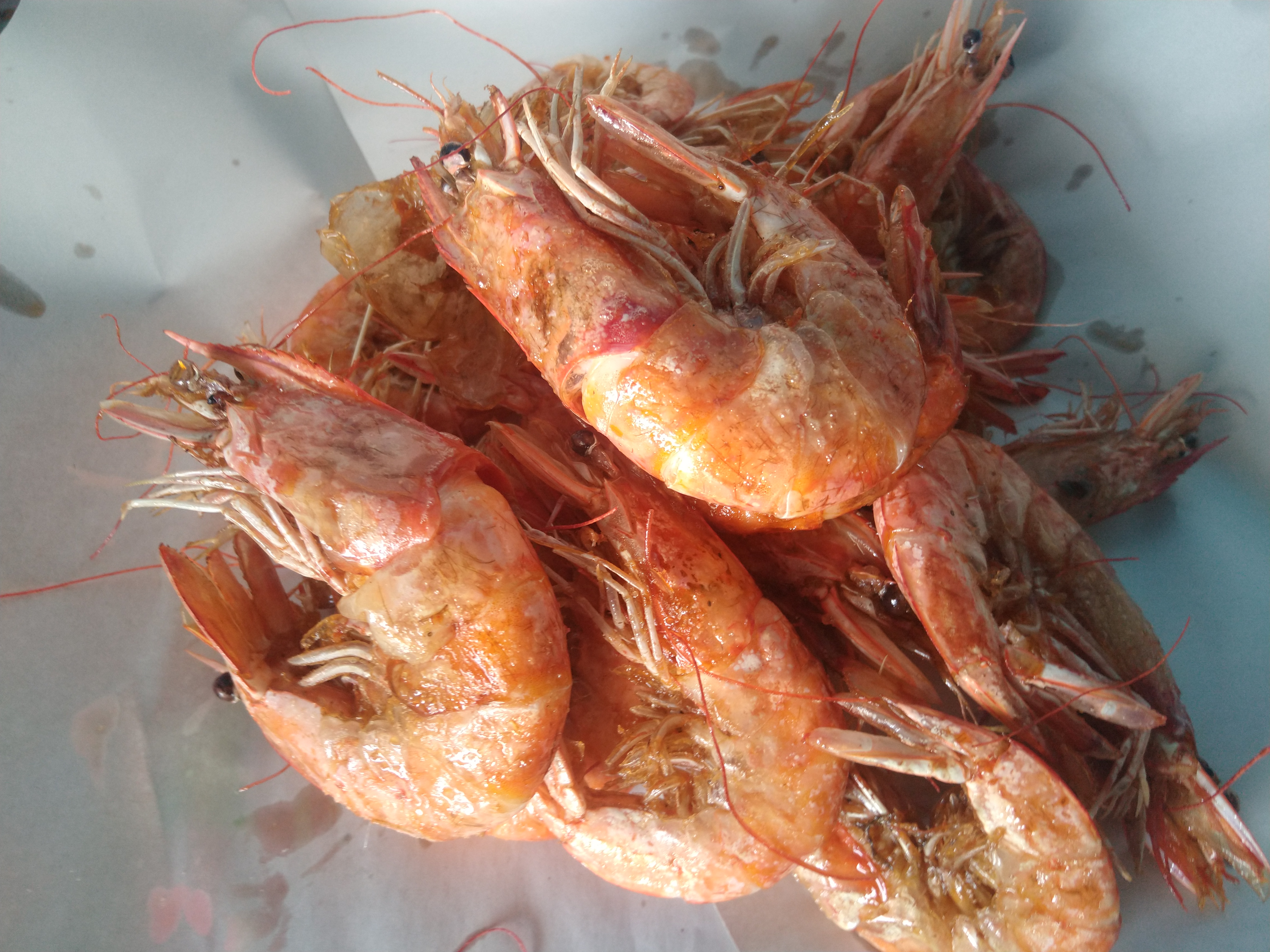 Pescados Y Mariscos El Güerito image 5