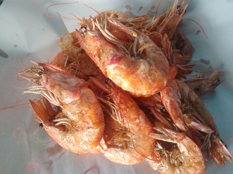 Pescados Y Mariscos El Güerito image 5