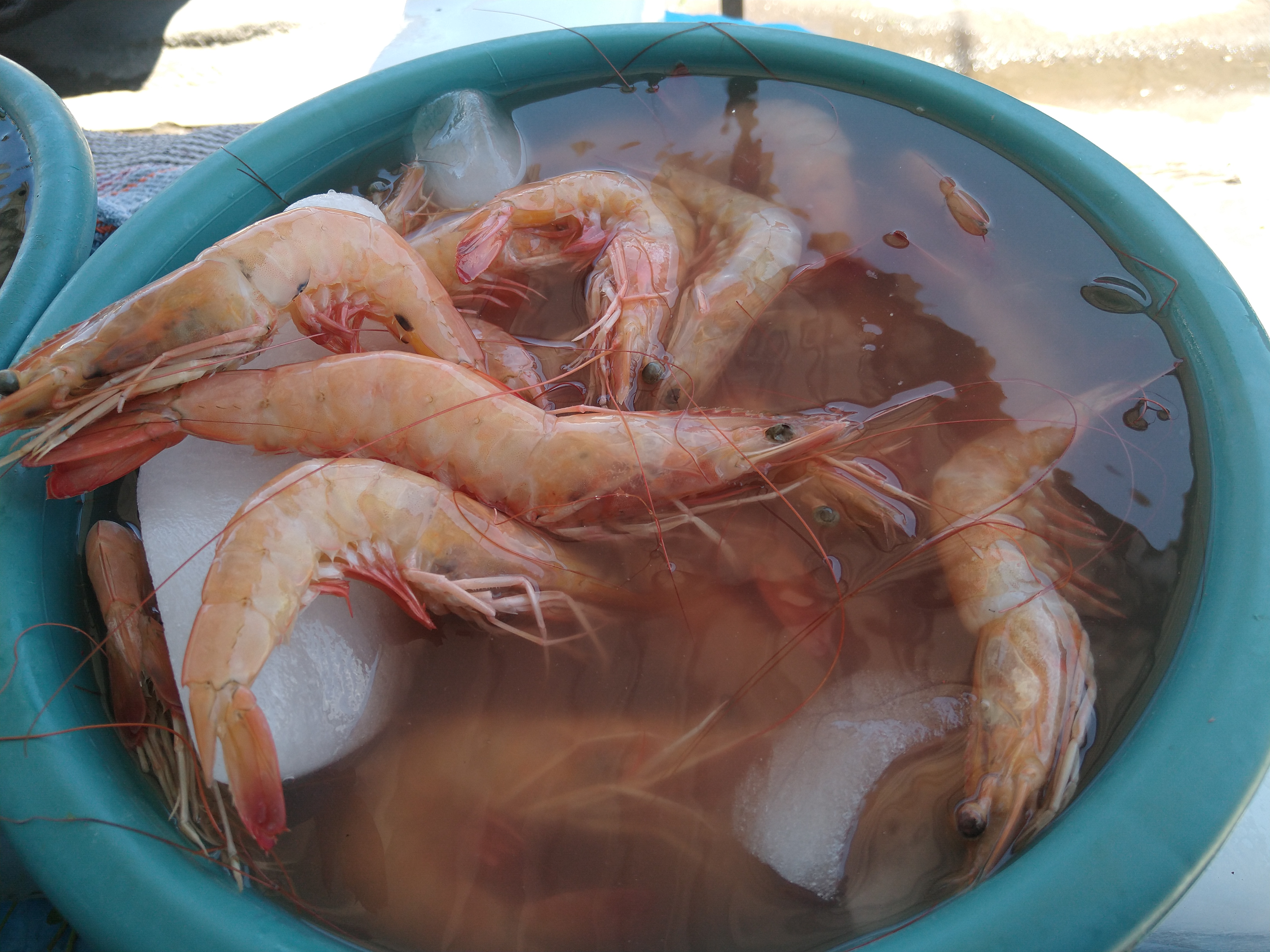 Pescados Y Mariscos El Güerito image 6