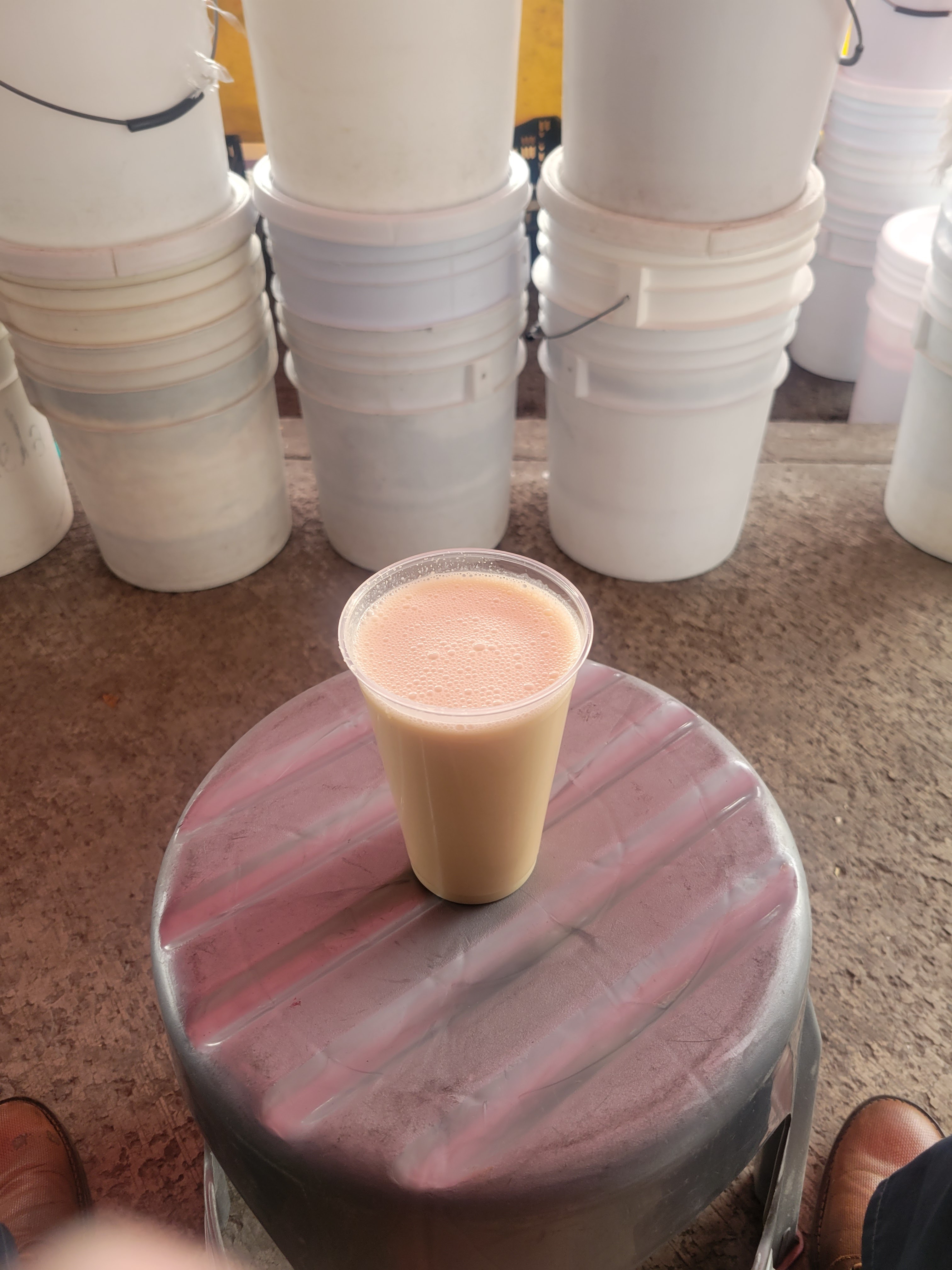 Pulque y Curados "La Pura Vitamina" image 3