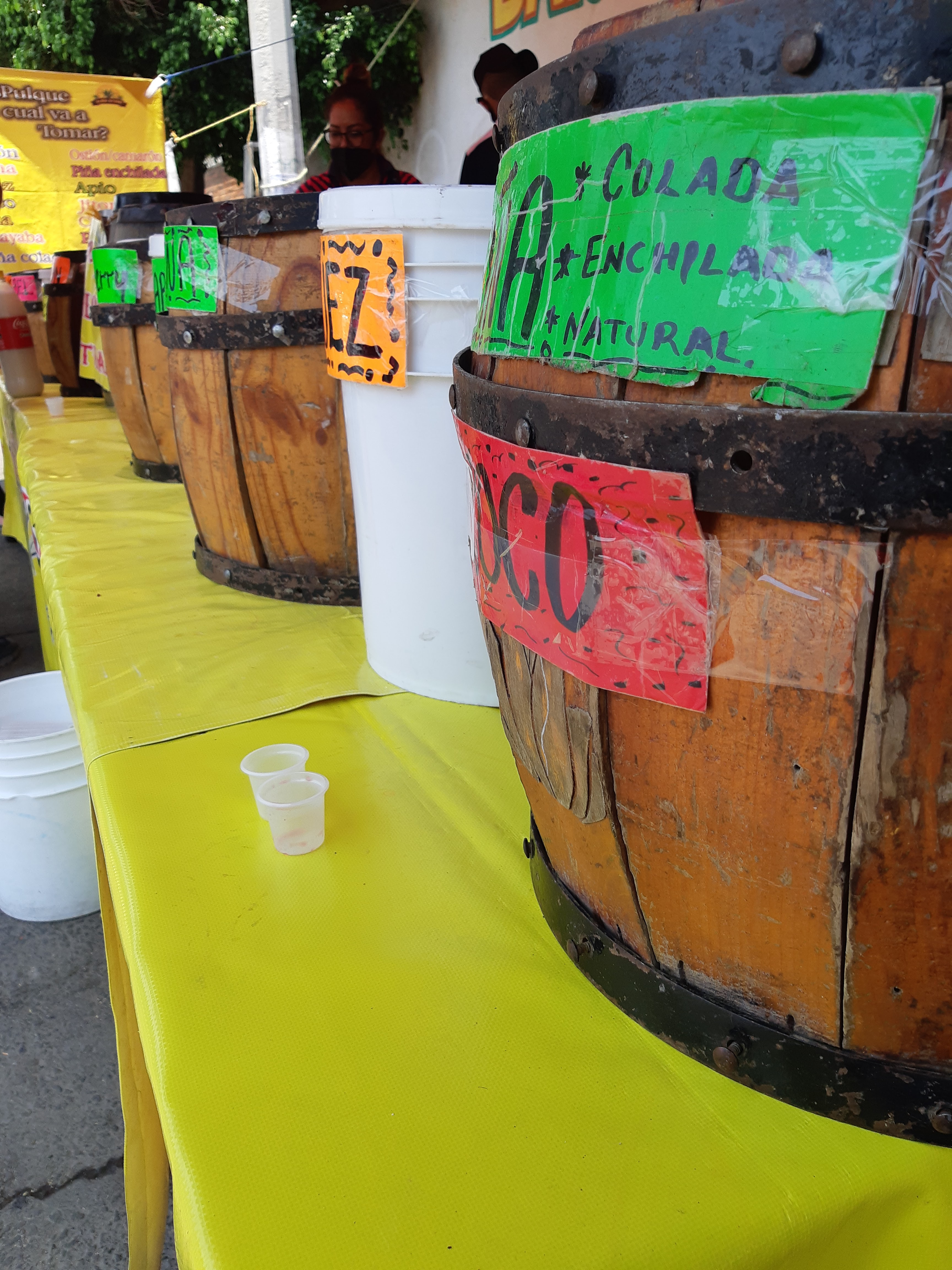 Pulque y Curados "La Pura Vitamina" image 8