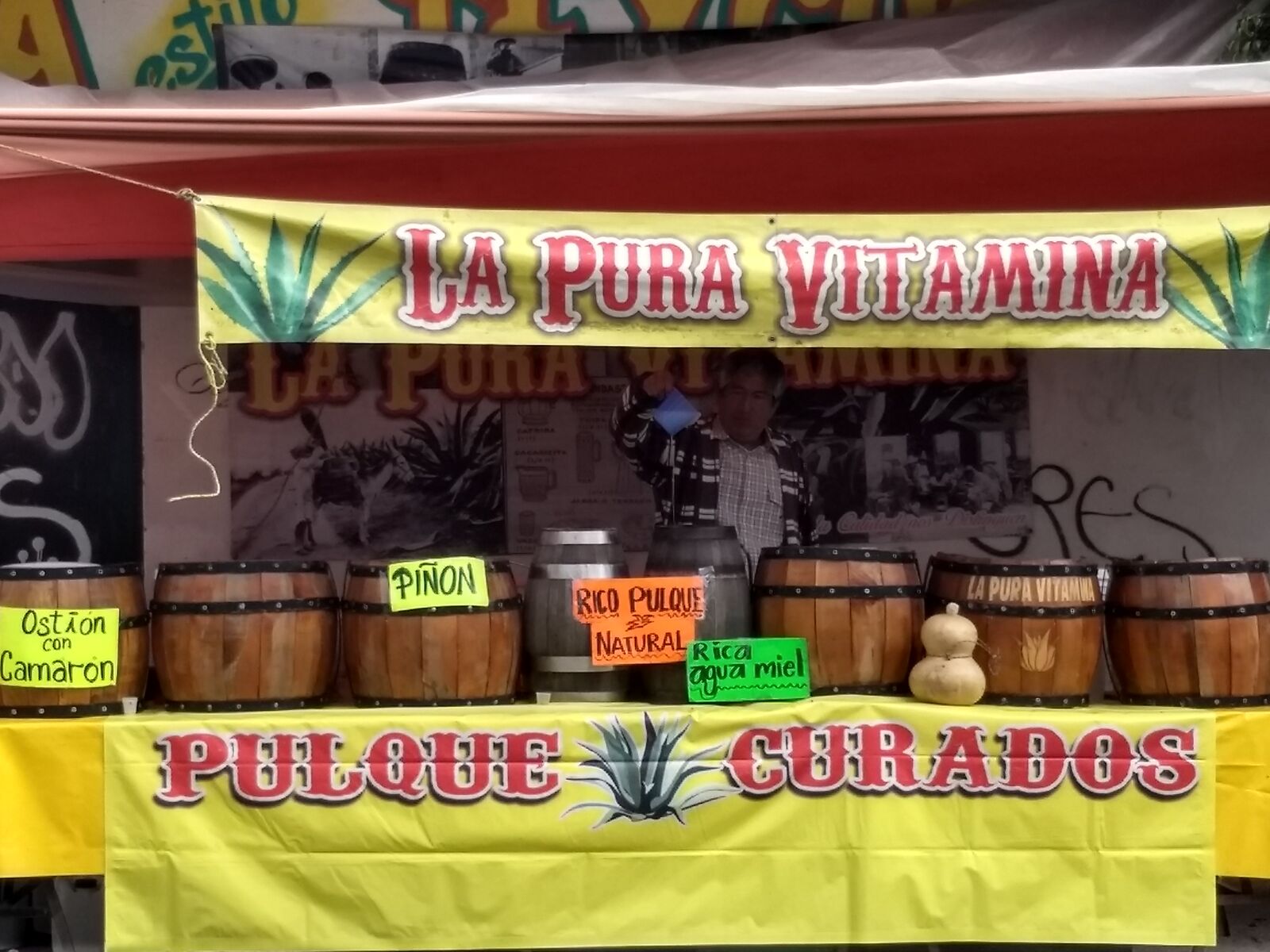Pulque y Curados "La Pura Vitamina" image 10