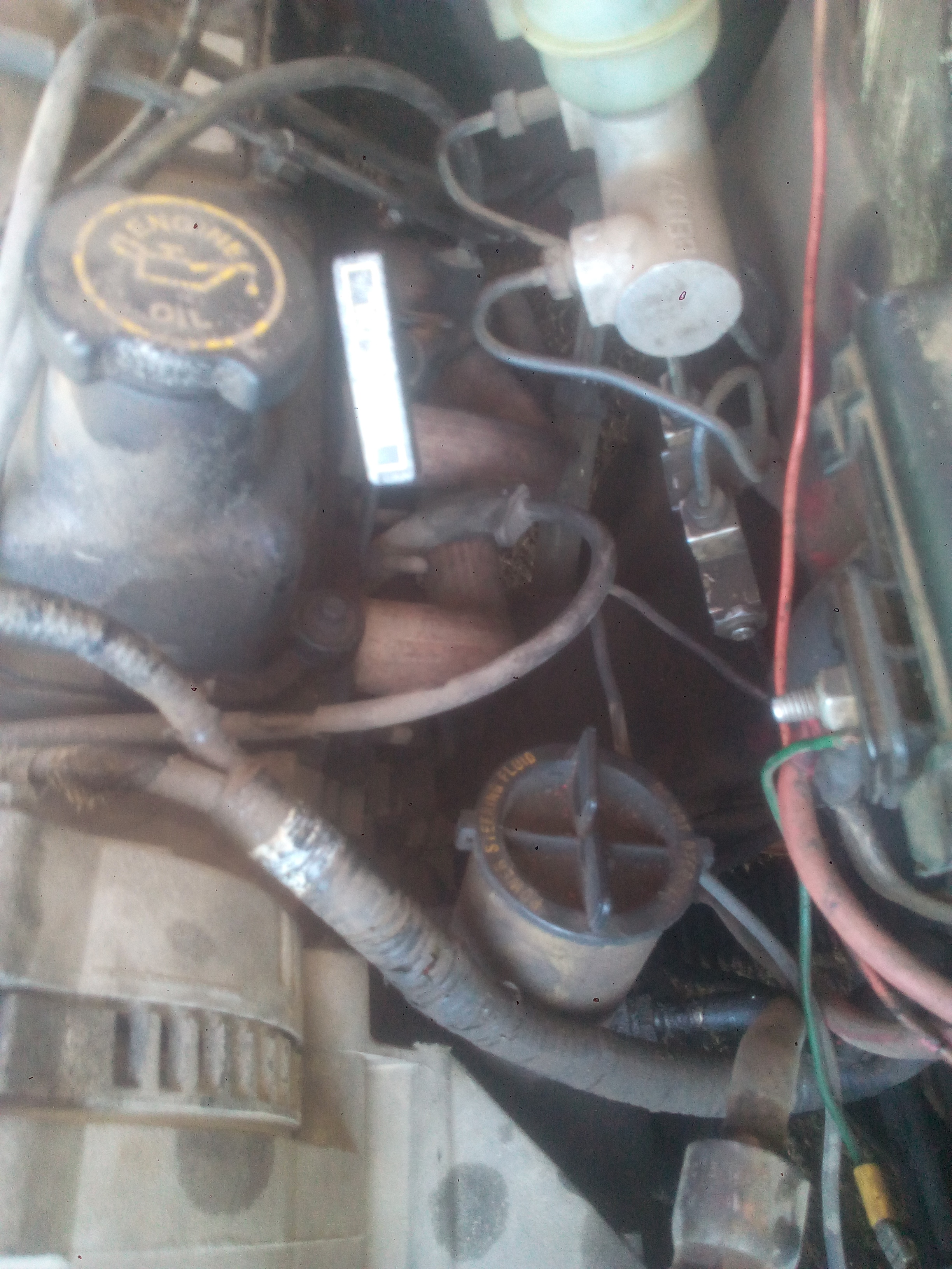 Restaurant Dogo image 6