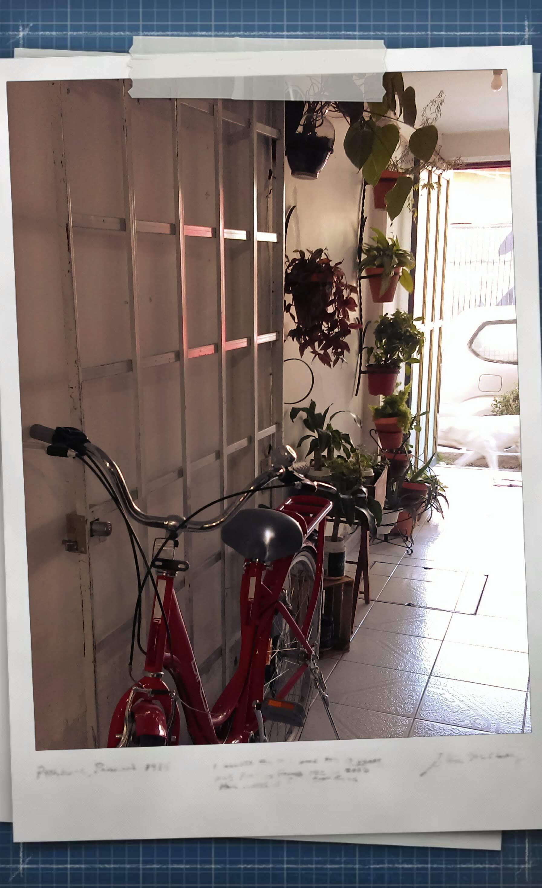 TONIC CENTER APAN image 5