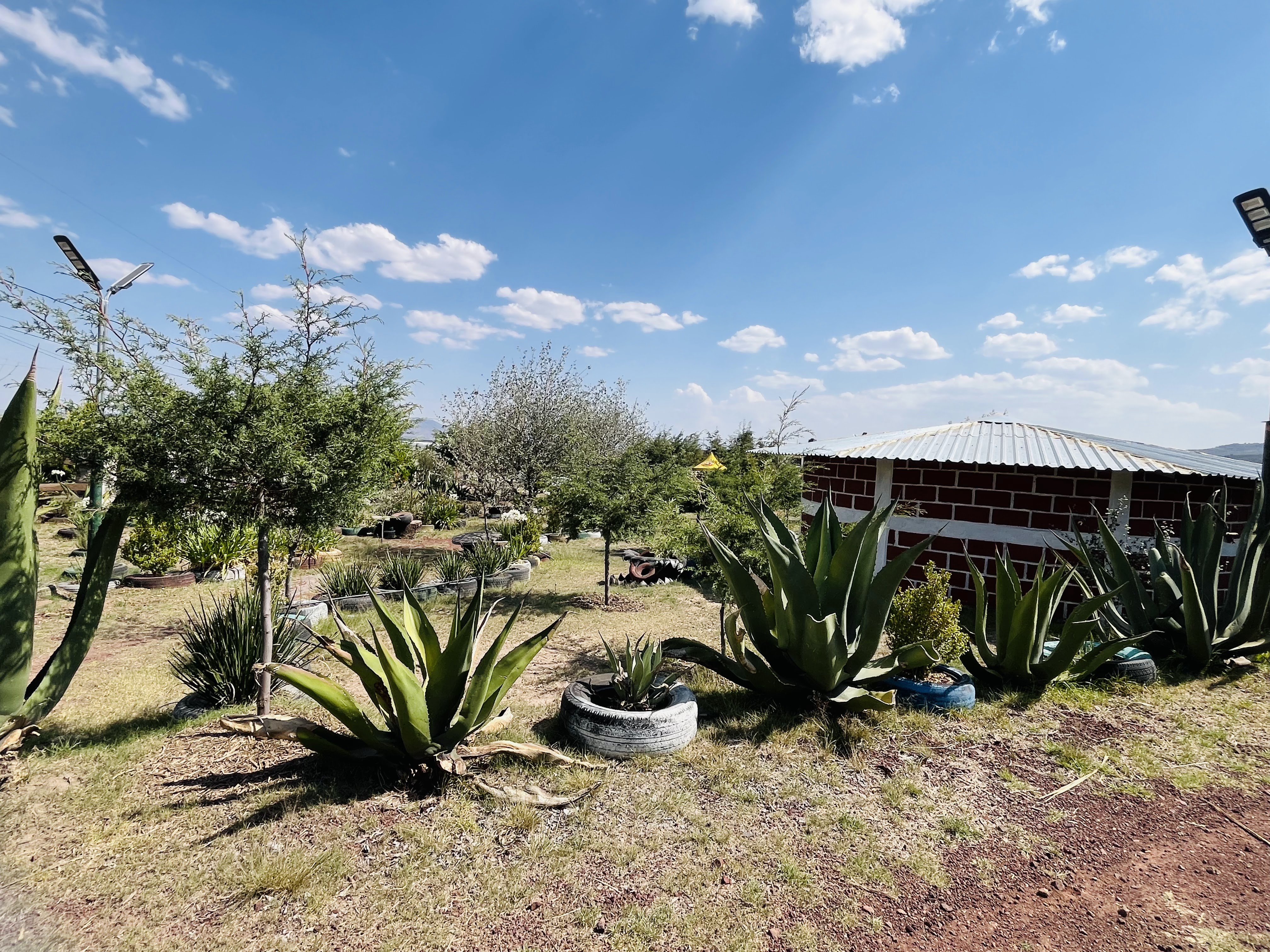 Centro Campestre El Fresno image 5