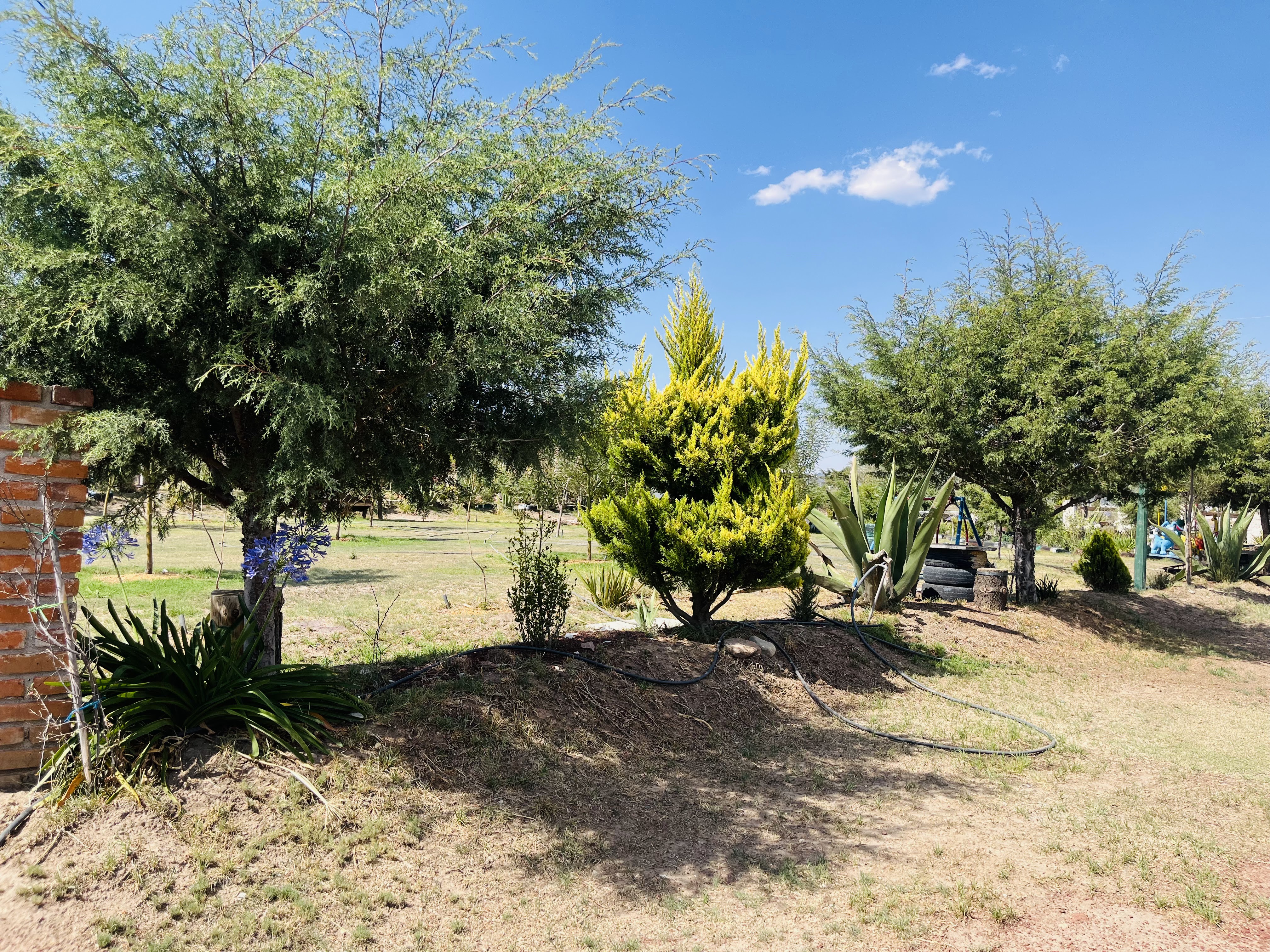 Centro Campestre El Fresno image 9