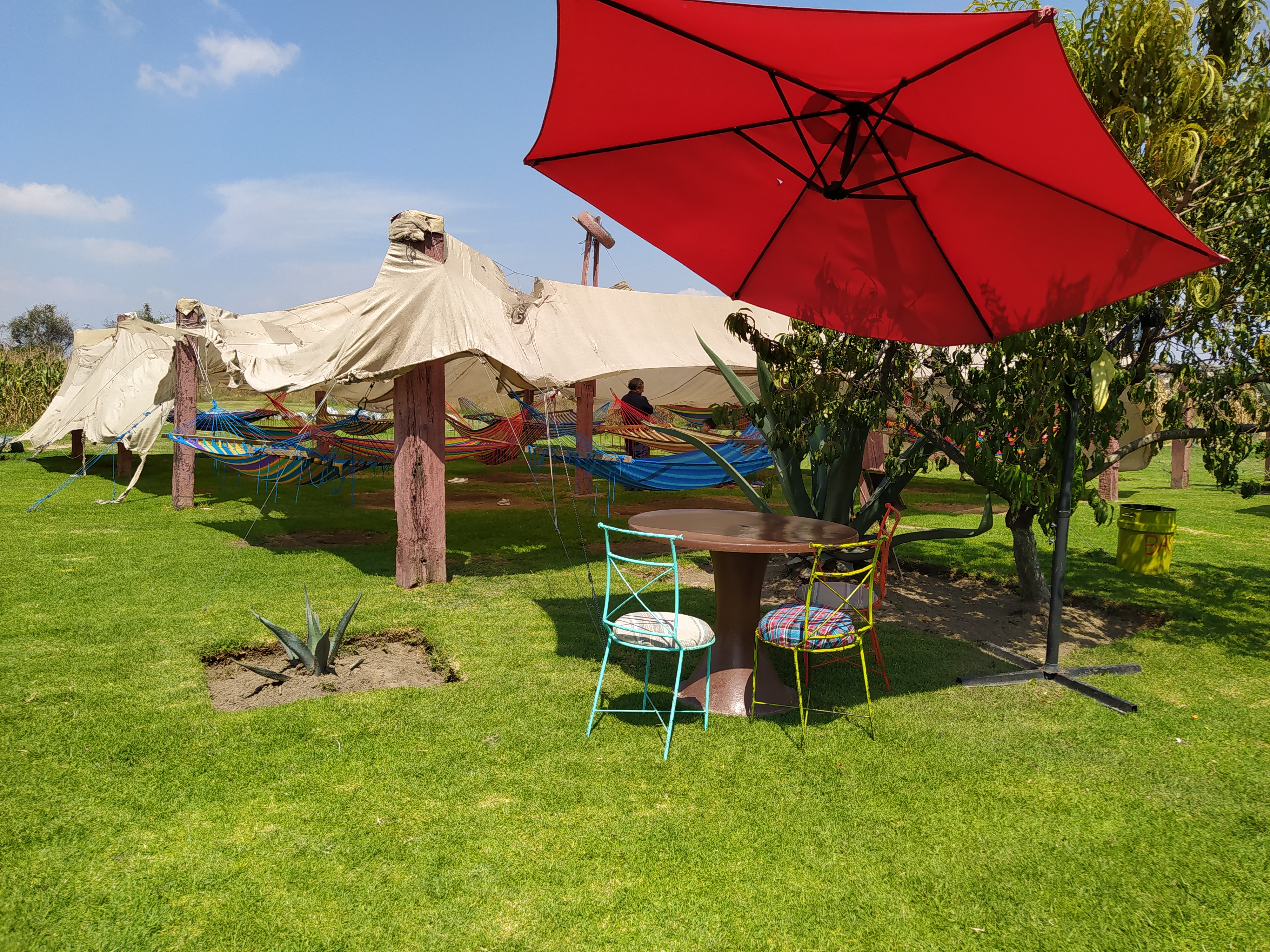 El Cornijal de Don Richard image 6