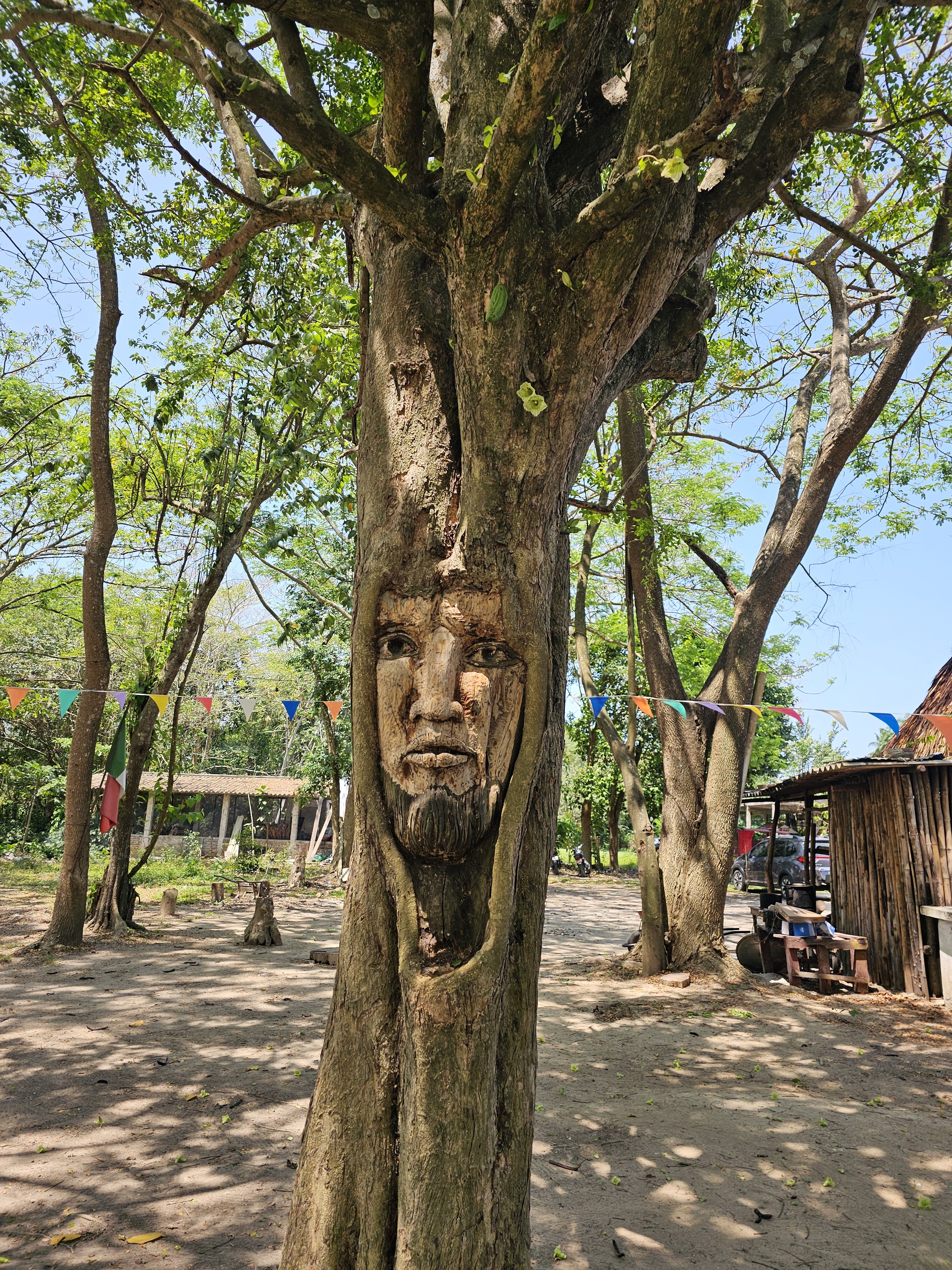 Yokok’ux Sabor ancestral image 4