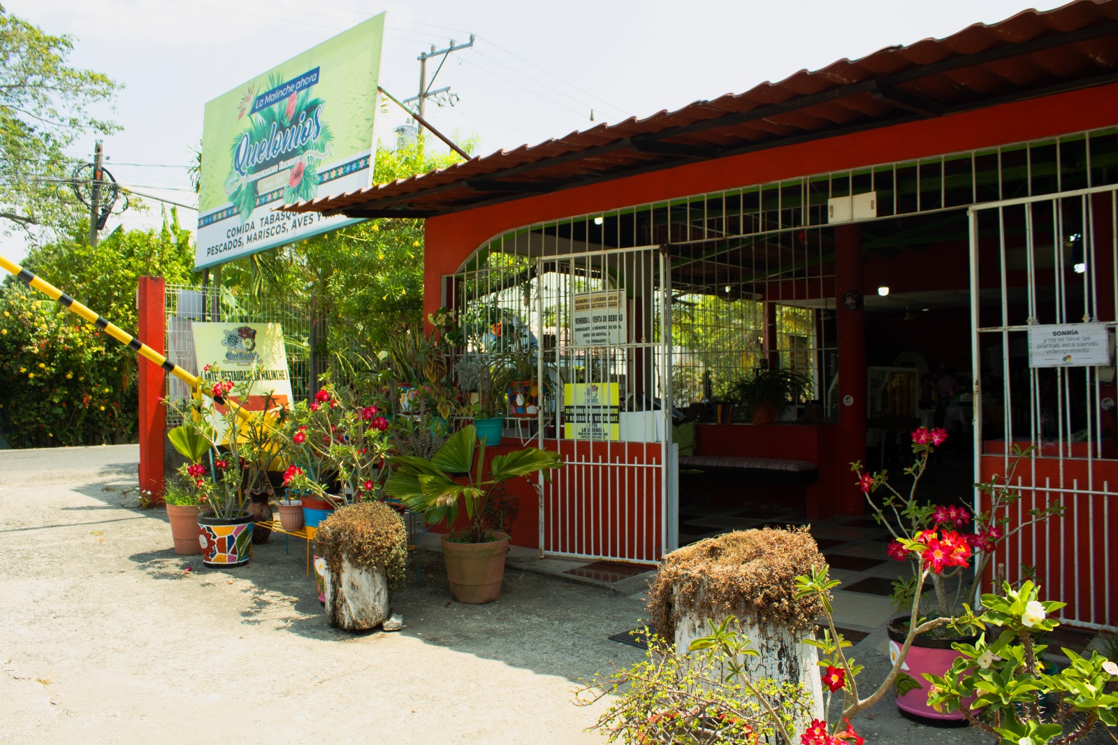 La Malinche ahora Quelonios Restaurante image 1
