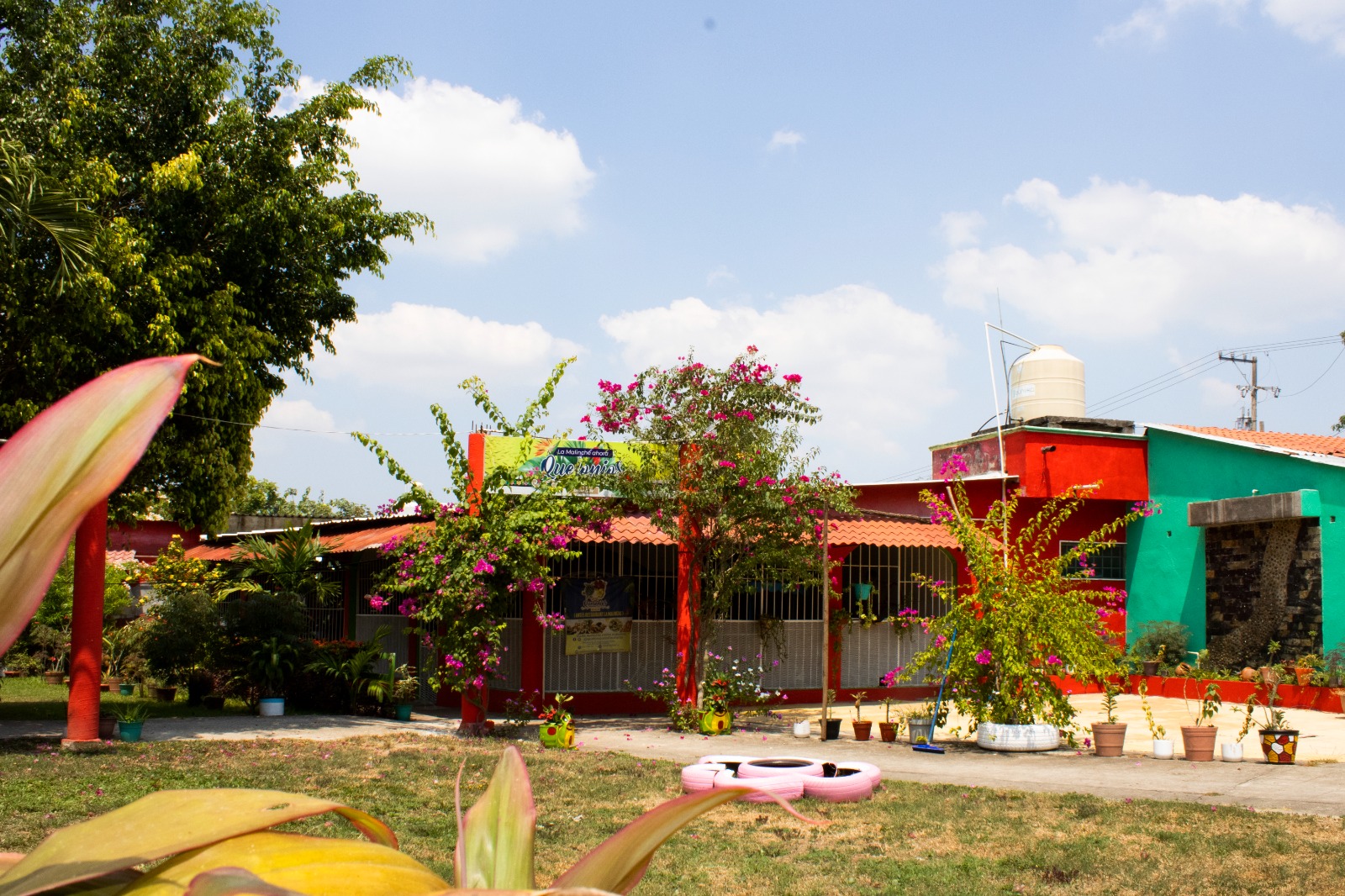 La Malinche ahora Quelonios Restaurante image 5