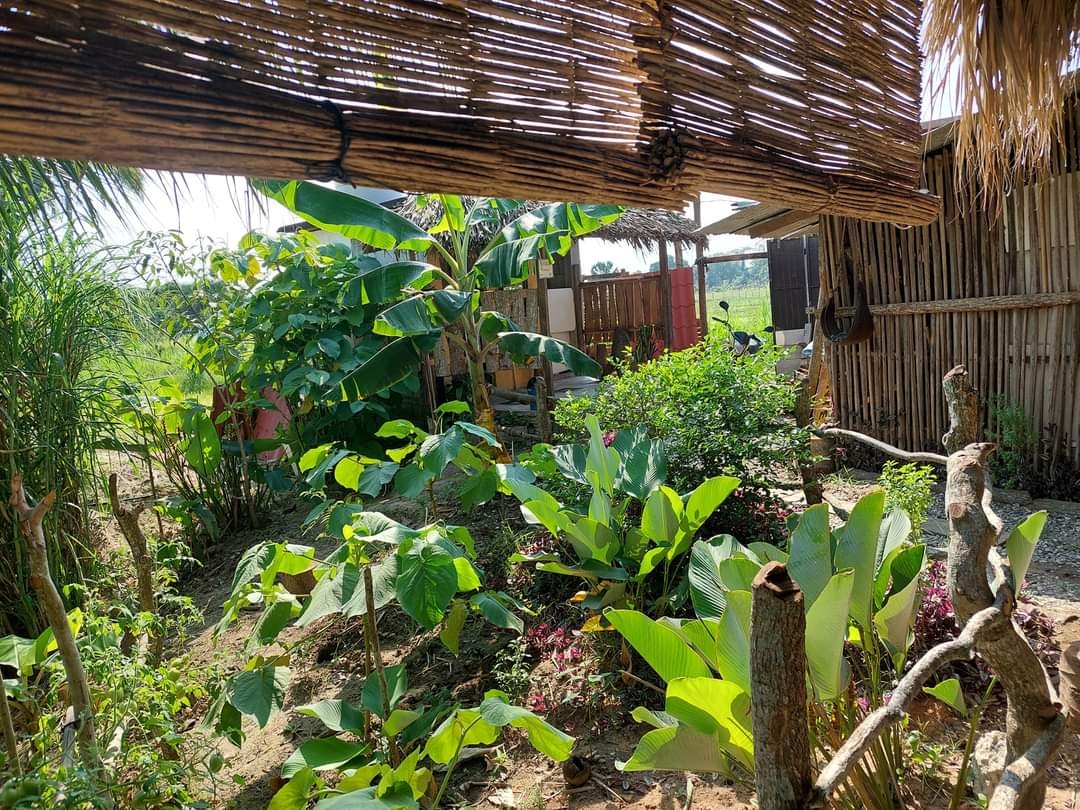 Restaurante Sazón Ancestral image 5