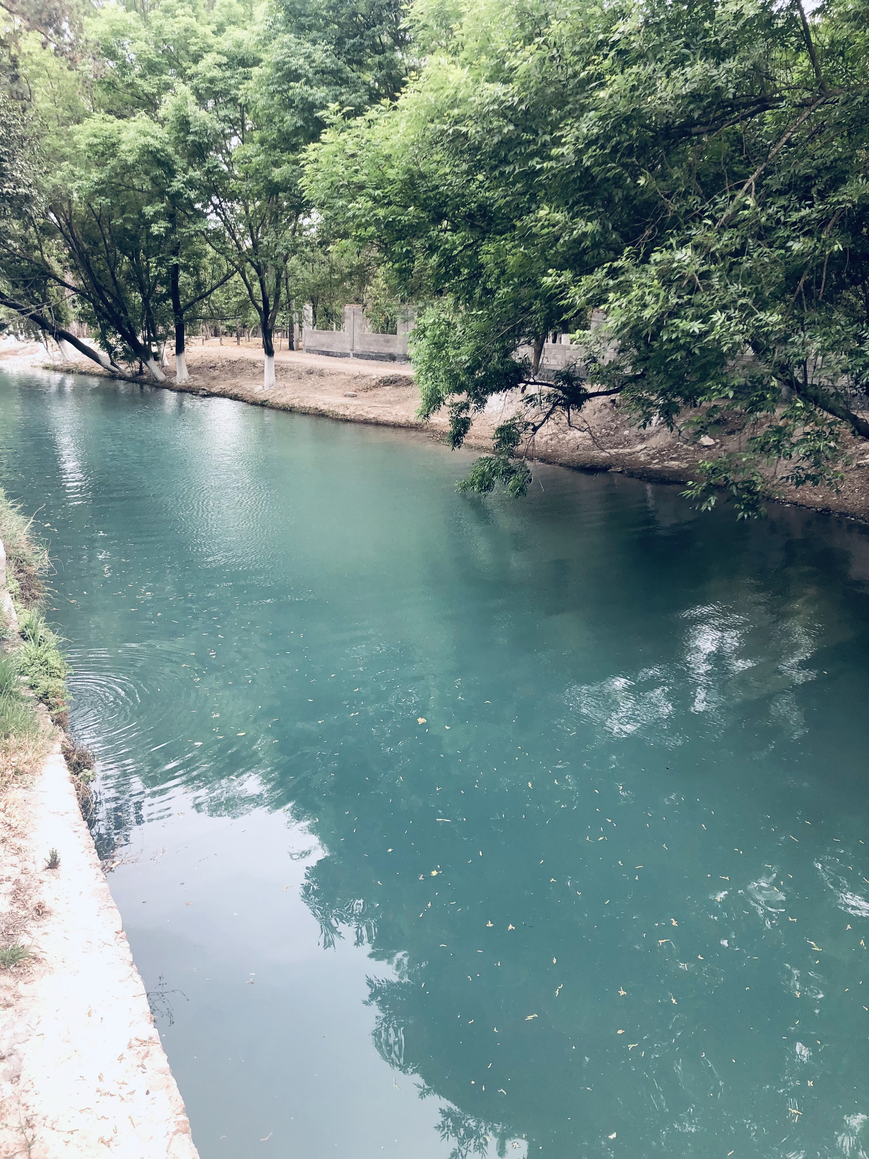 La Esquina Del Poeta image 7