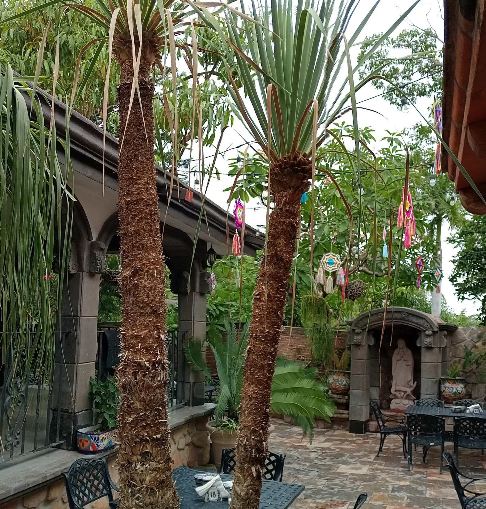 El Comal Y La Olla Matriz Tehuixtla image 5