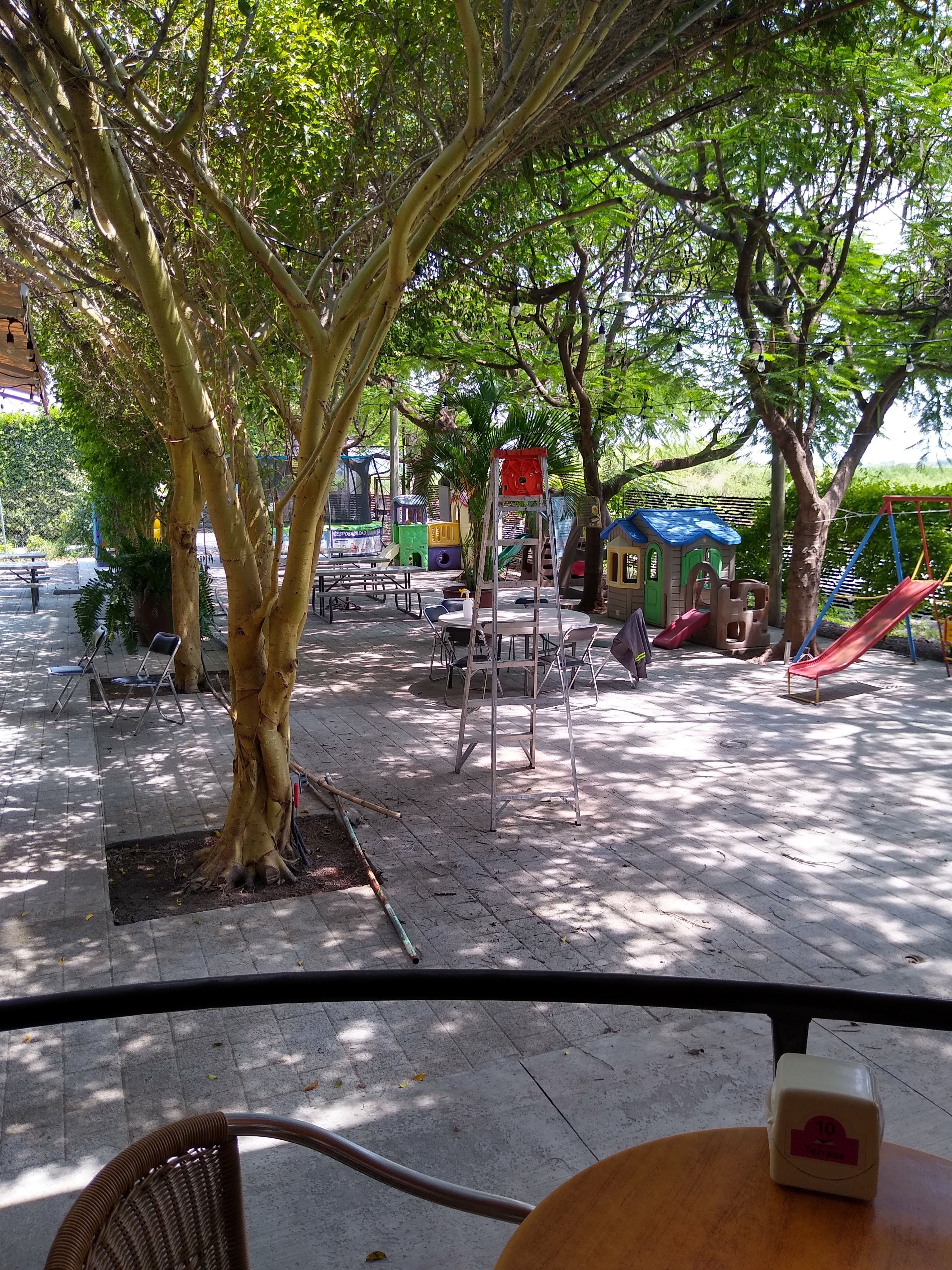 Campo la Victoria image 4