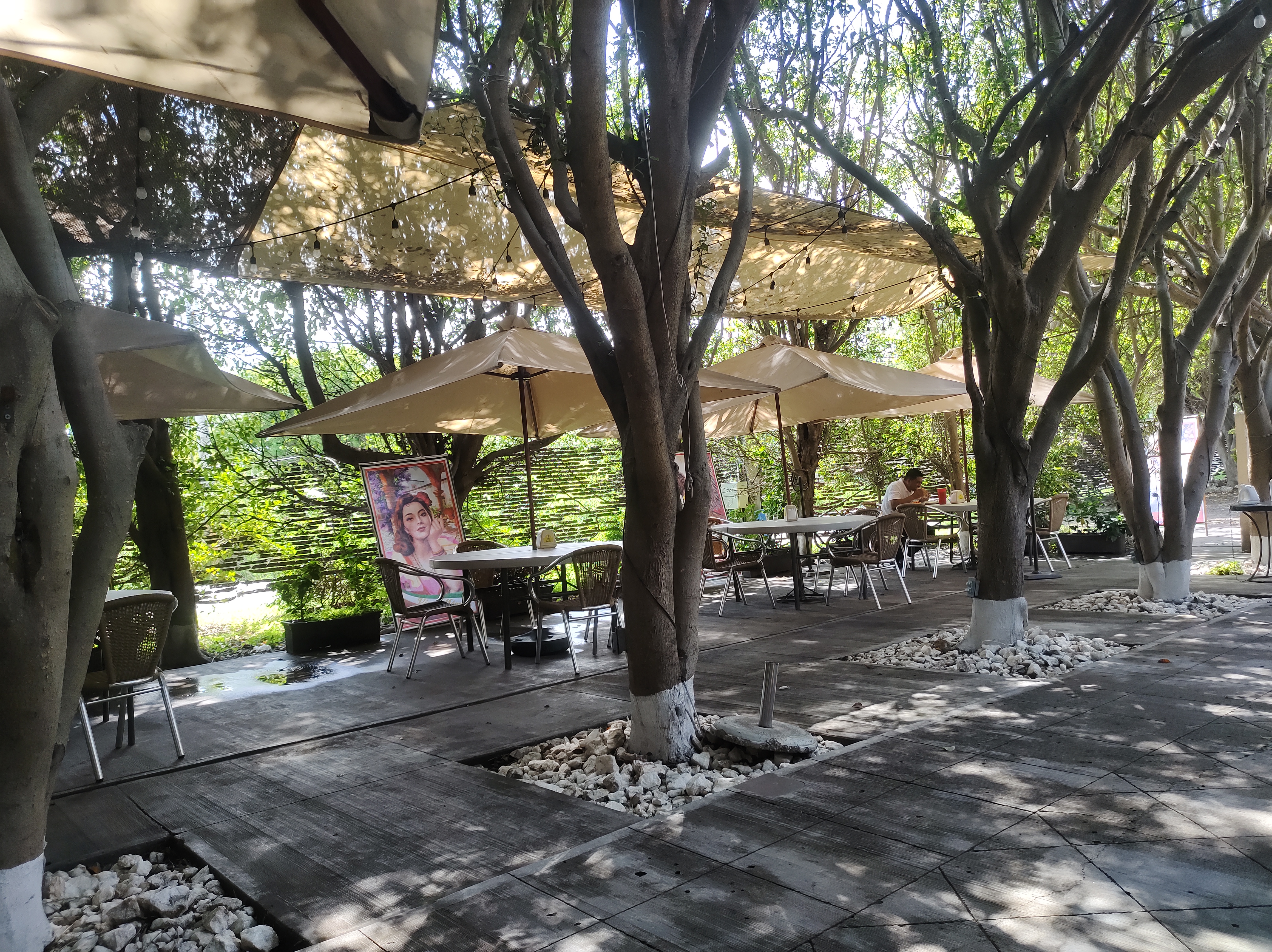 Campo la Victoria image 6