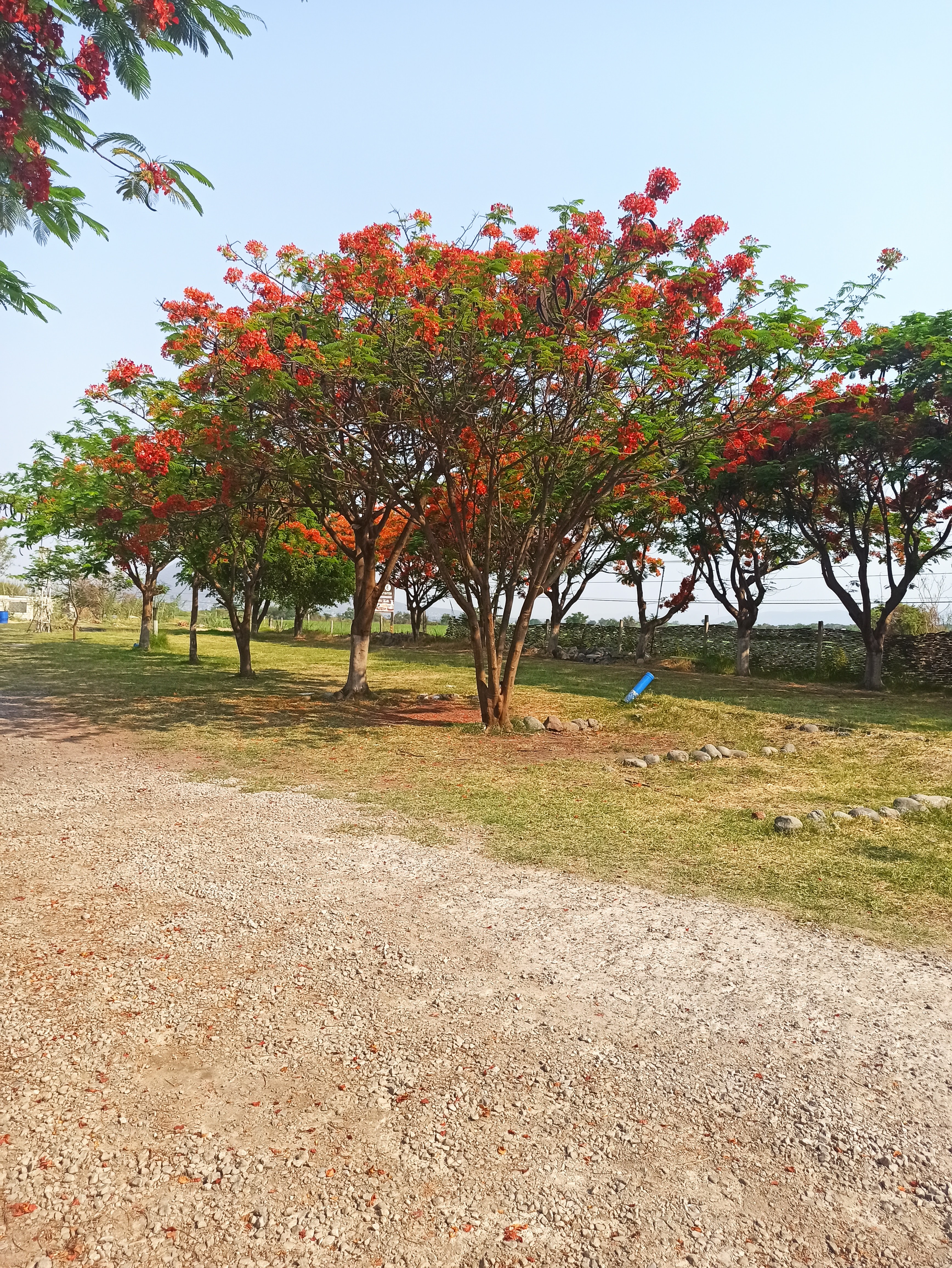 Campo la Victoria image 10