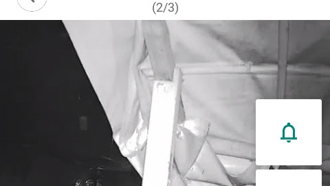 Restaurant "Los Gemelos" image 3