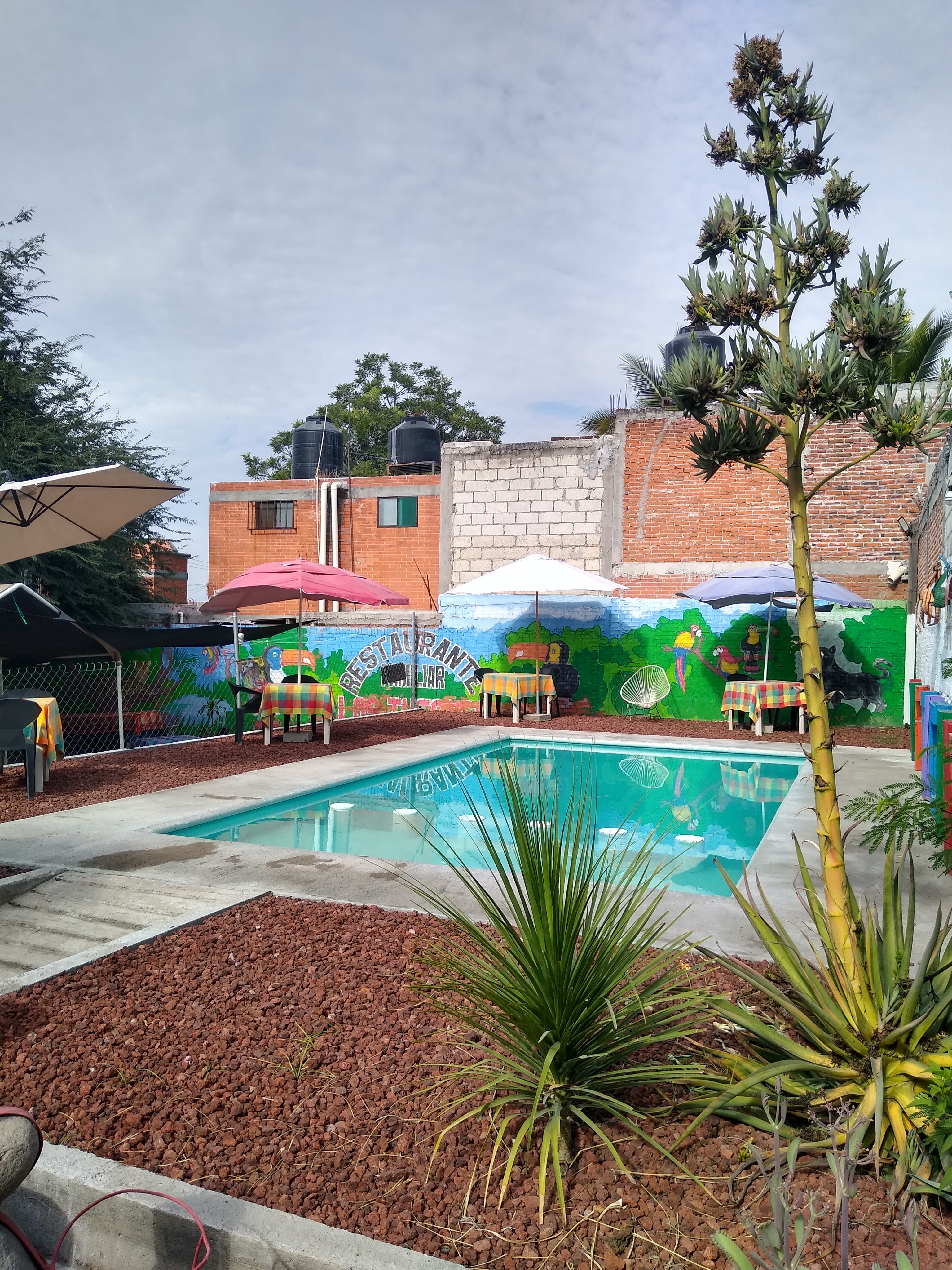 Restaurante Los Tucanes image 3