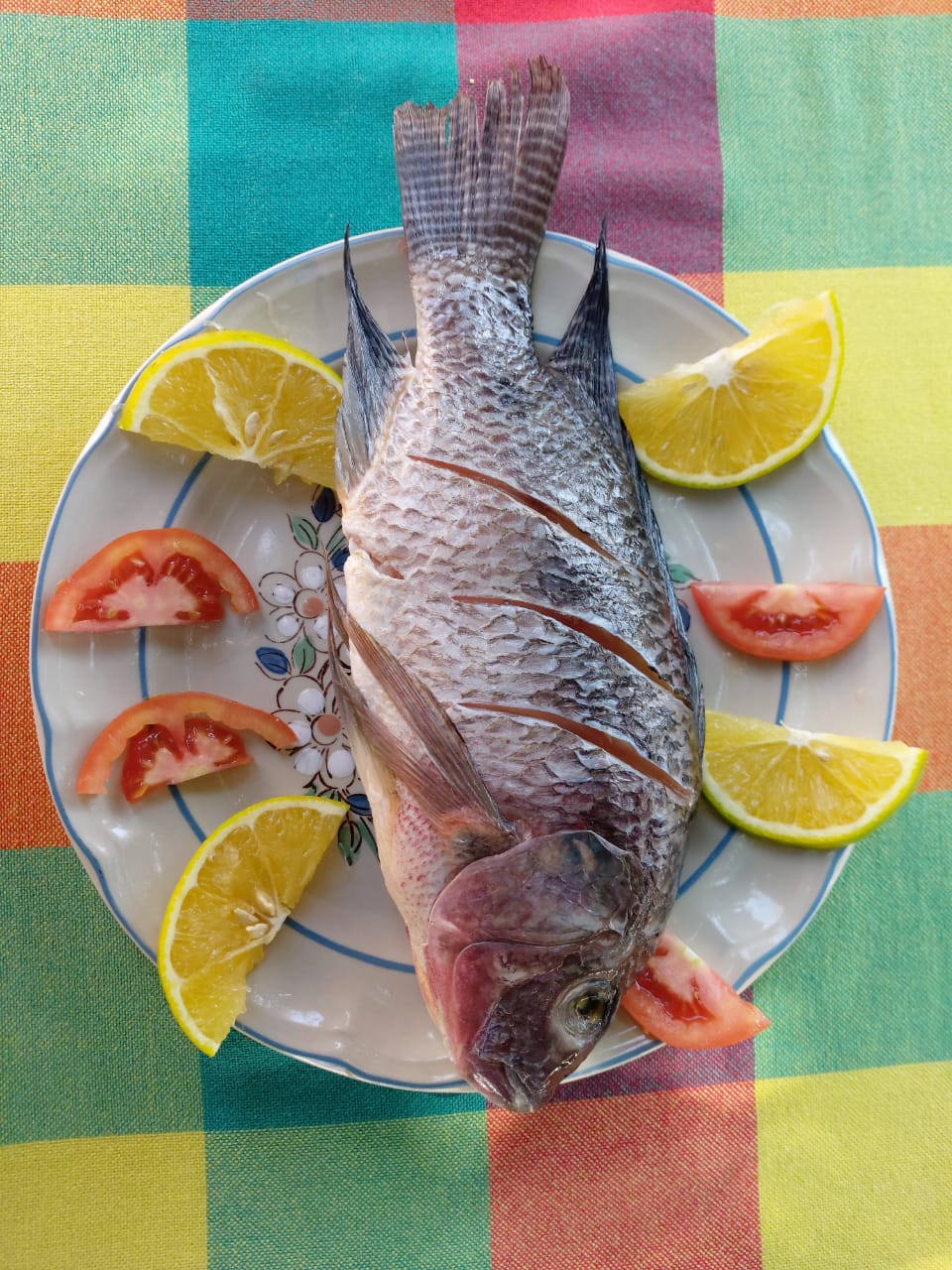 Restaurante Los Tucanes image 7