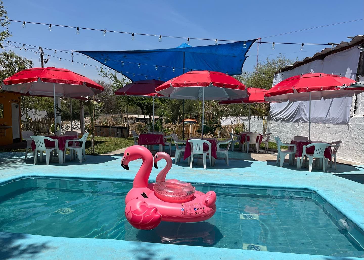 Flamingos Restaurante image 5