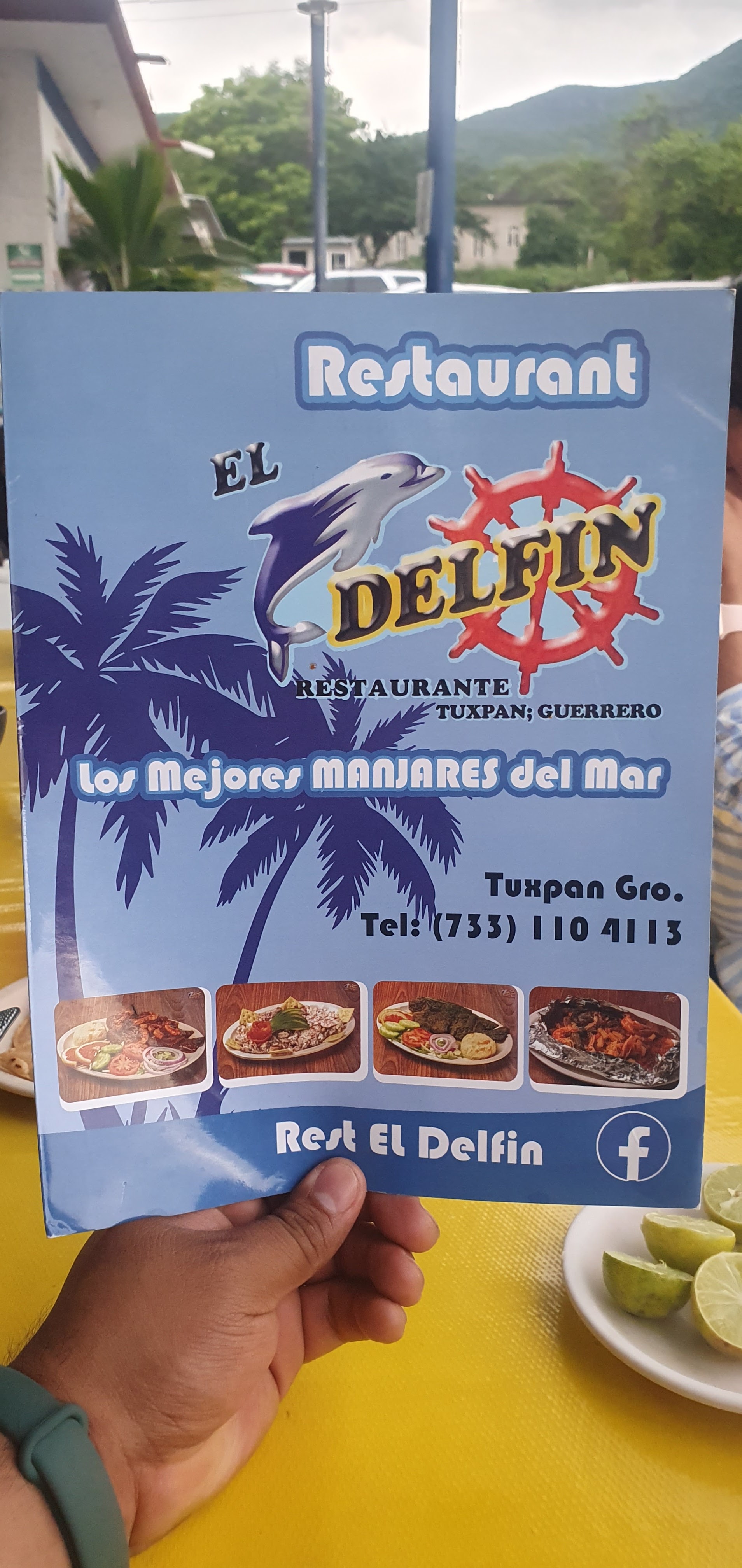 Restaurant El Delfin, Tuxpan, Guerrero, MX. image 8