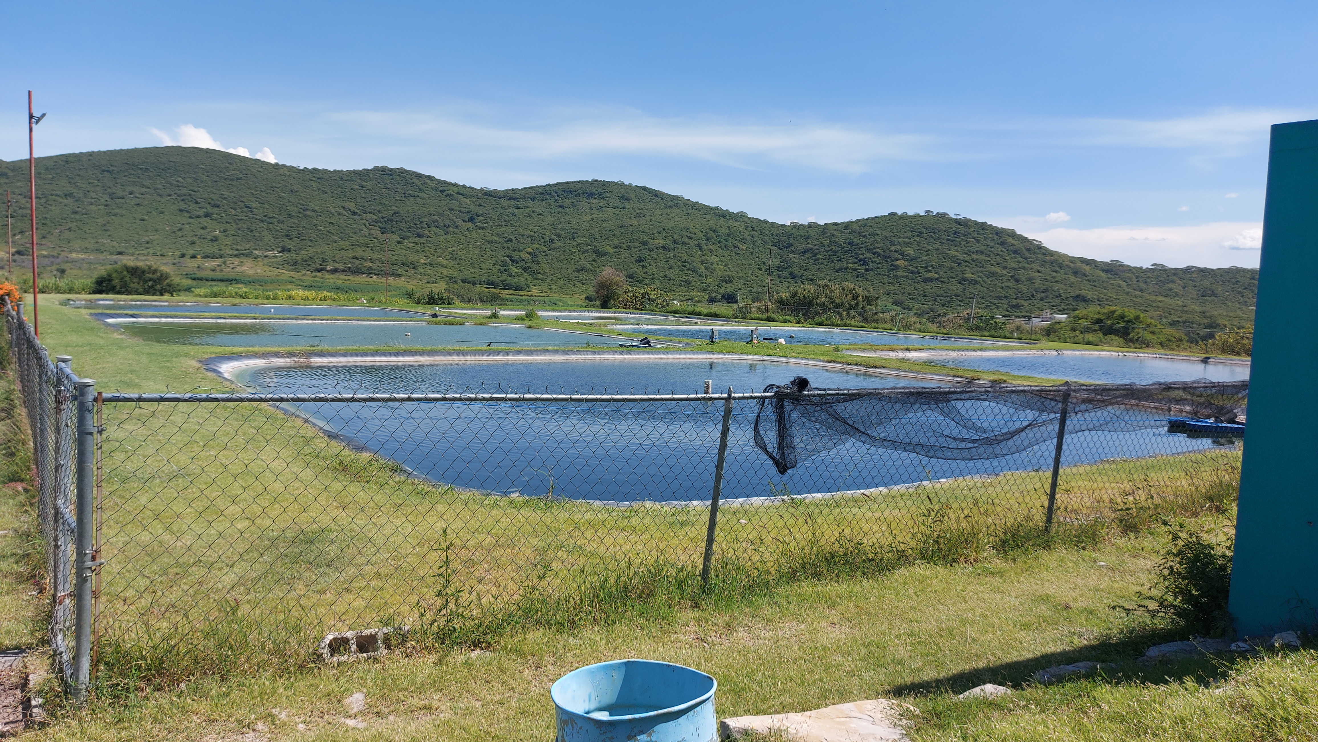 Loma Bonita Restaurant y Criadero de Tilapia image 5