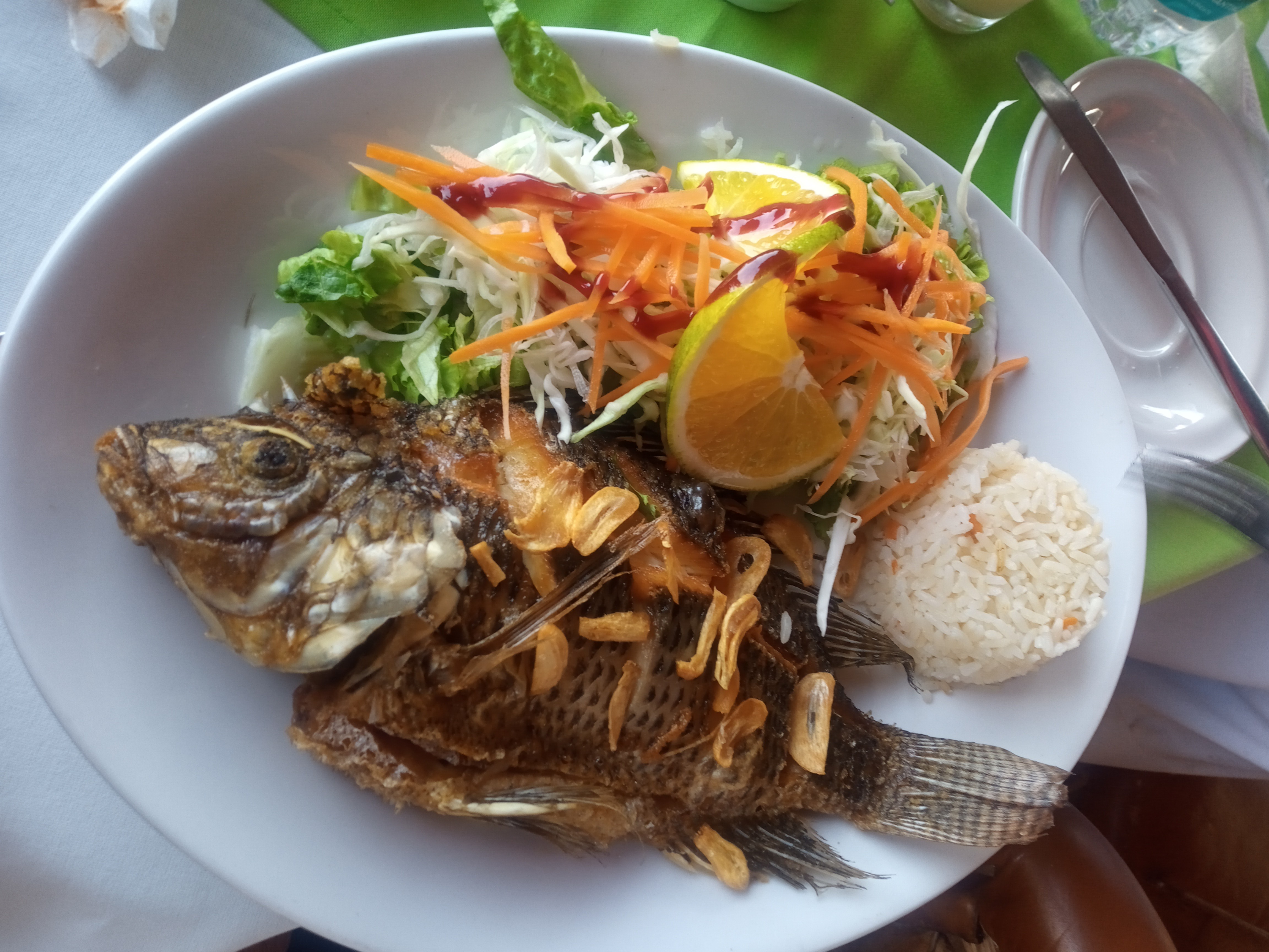 Loma Bonita Restaurant y Criadero de Tilapia image 6