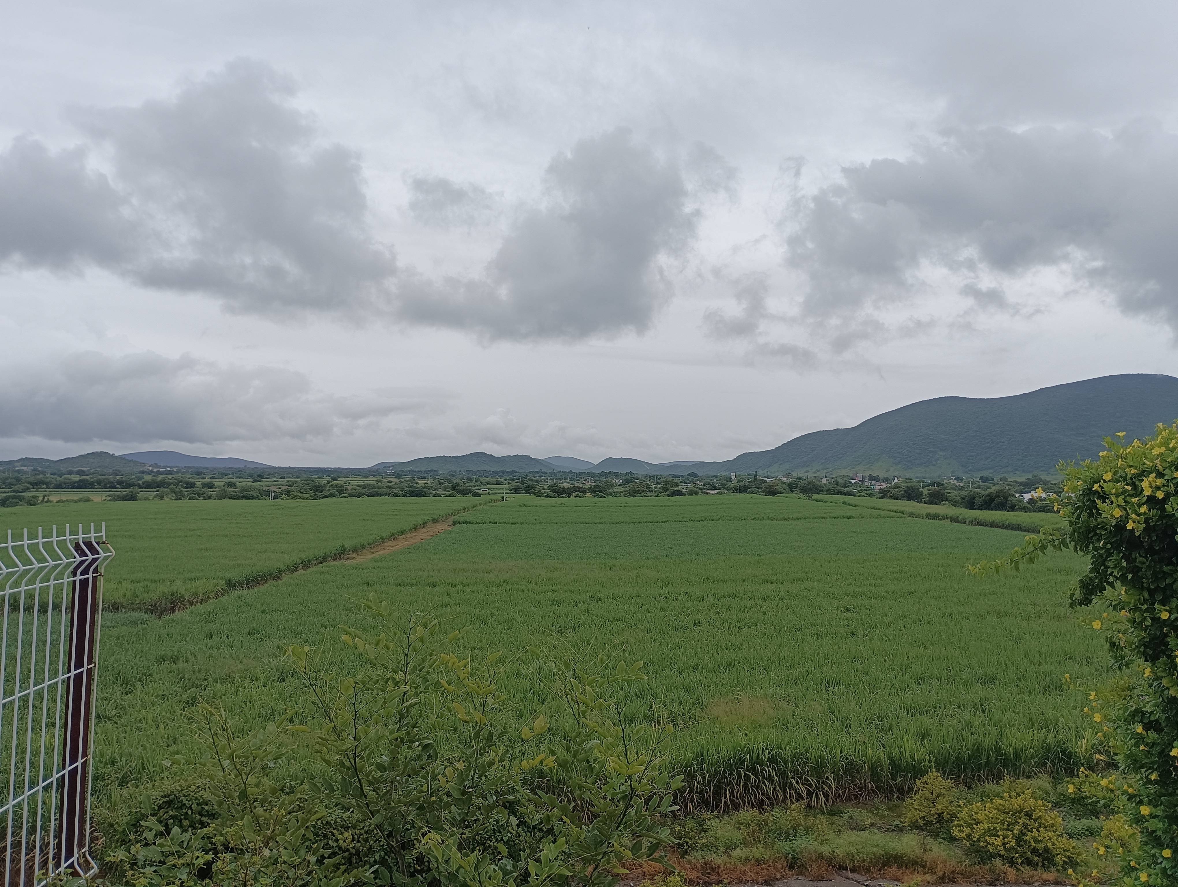 Loma Bonita Restaurant y Criadero de Tilapia image 8