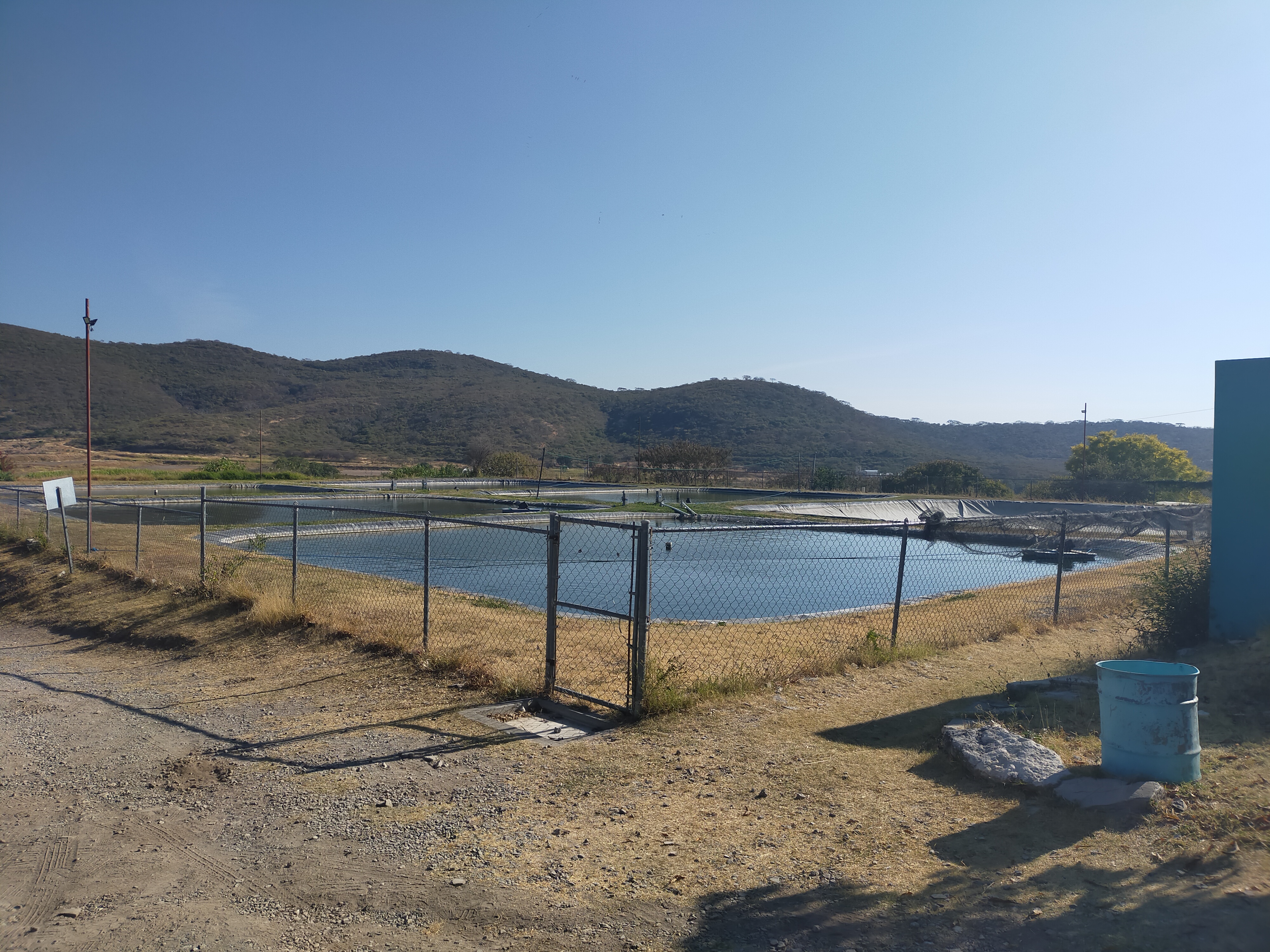 Loma Bonita Restaurant y Criadero de Tilapia image 10