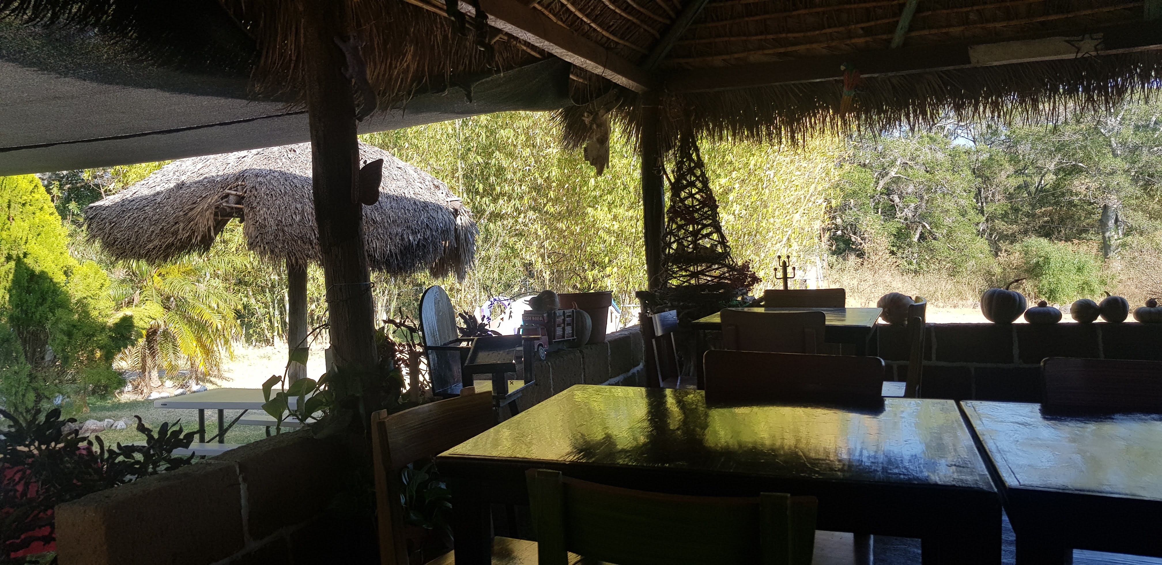 Langostas Real Costa De Marina image 1